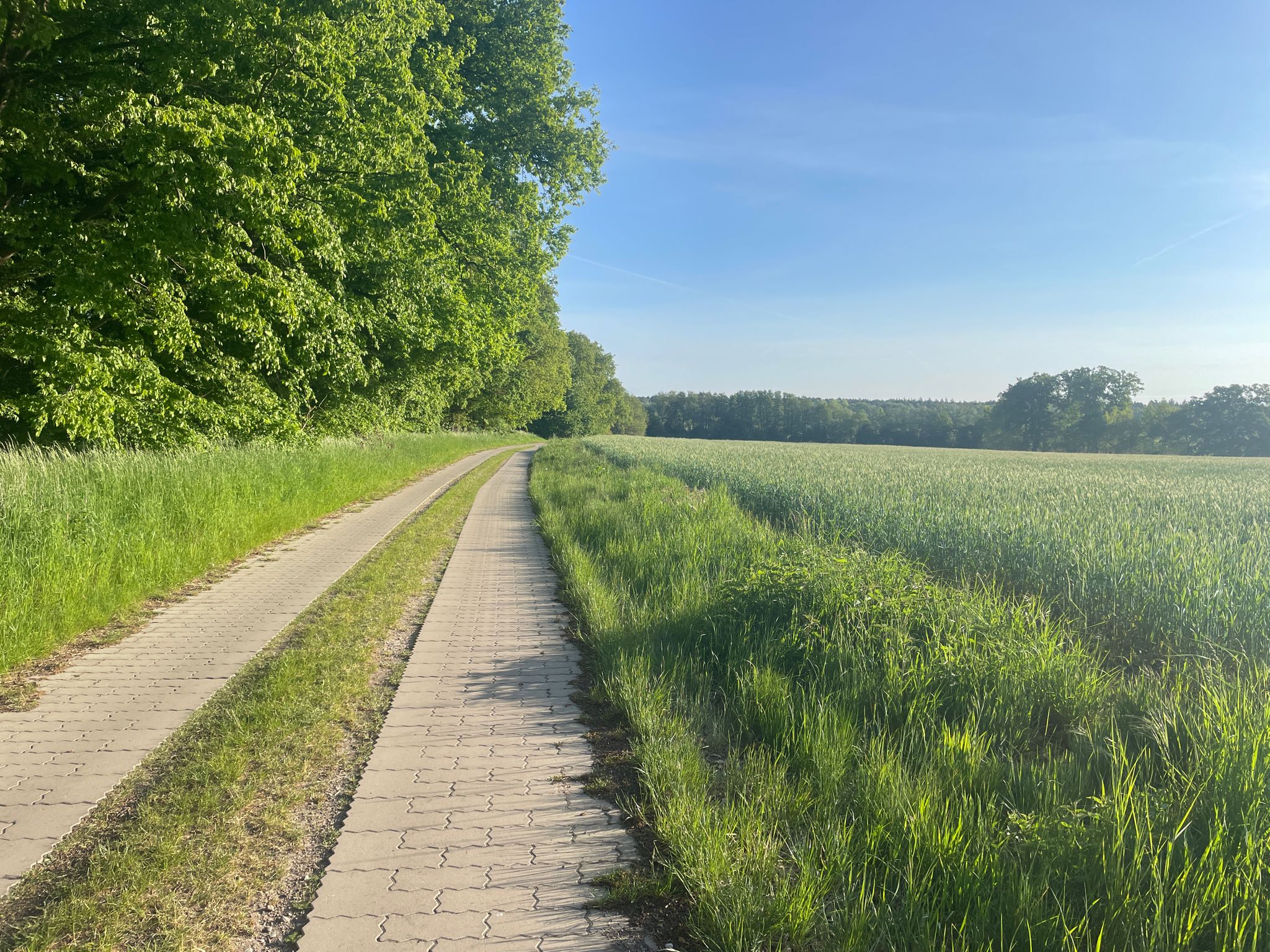 1a Pflasterstein-Weg!