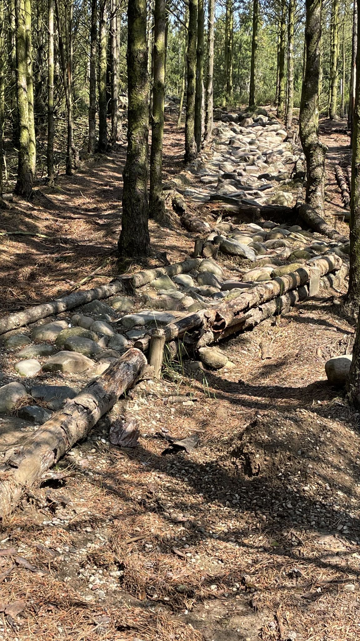 Kaiserweg Style - nur dass hier die Steine festbetoniert und rund sind