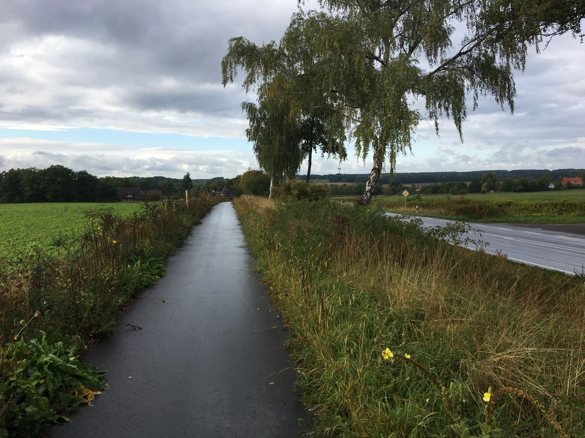 Trinkpause auf Passhöhe