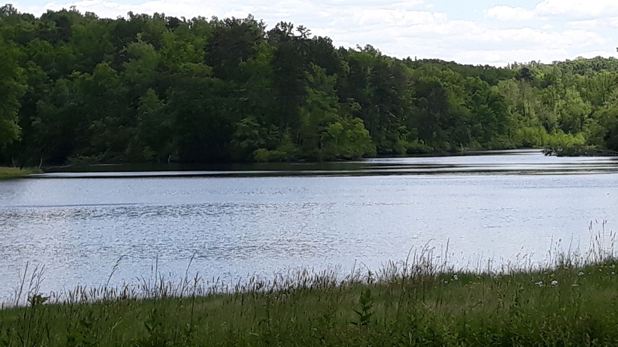 A calm lake bordered by lush green forest under a bright, overcast sky. - Goodwin Lake – Prince Edward Lake loop from Prince Edward-Gallion State Forest