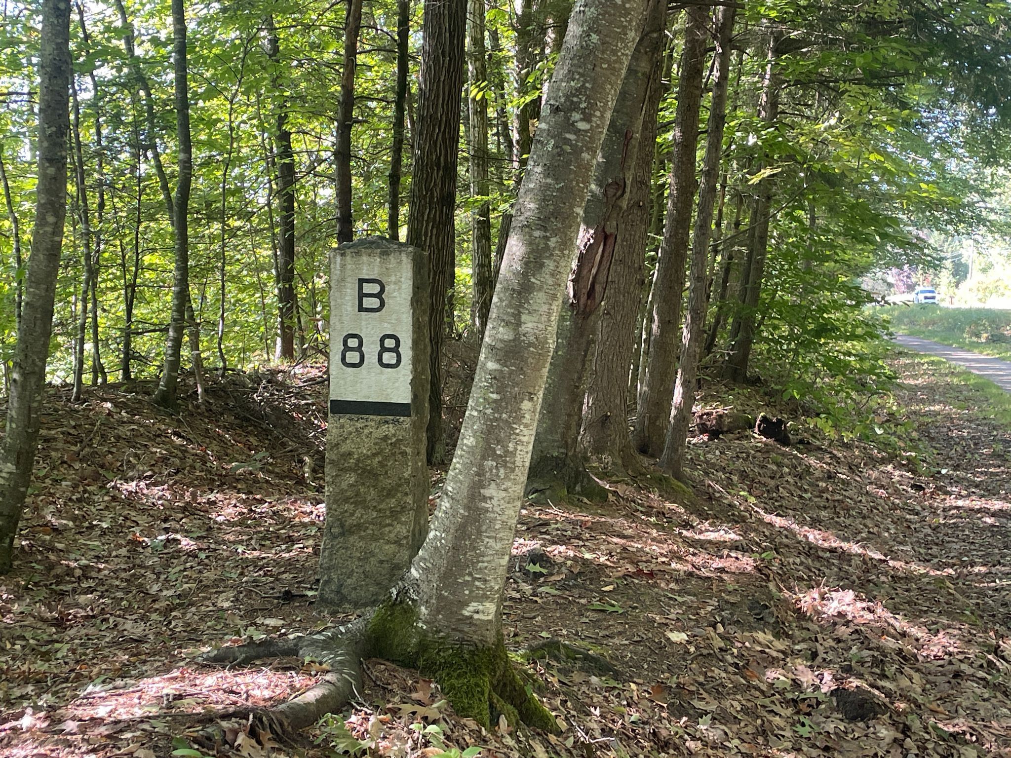 Stone marker 'B 88' next to a tree in a sun-dappled forest. - Road along Merrimack River loop from Boscawen
