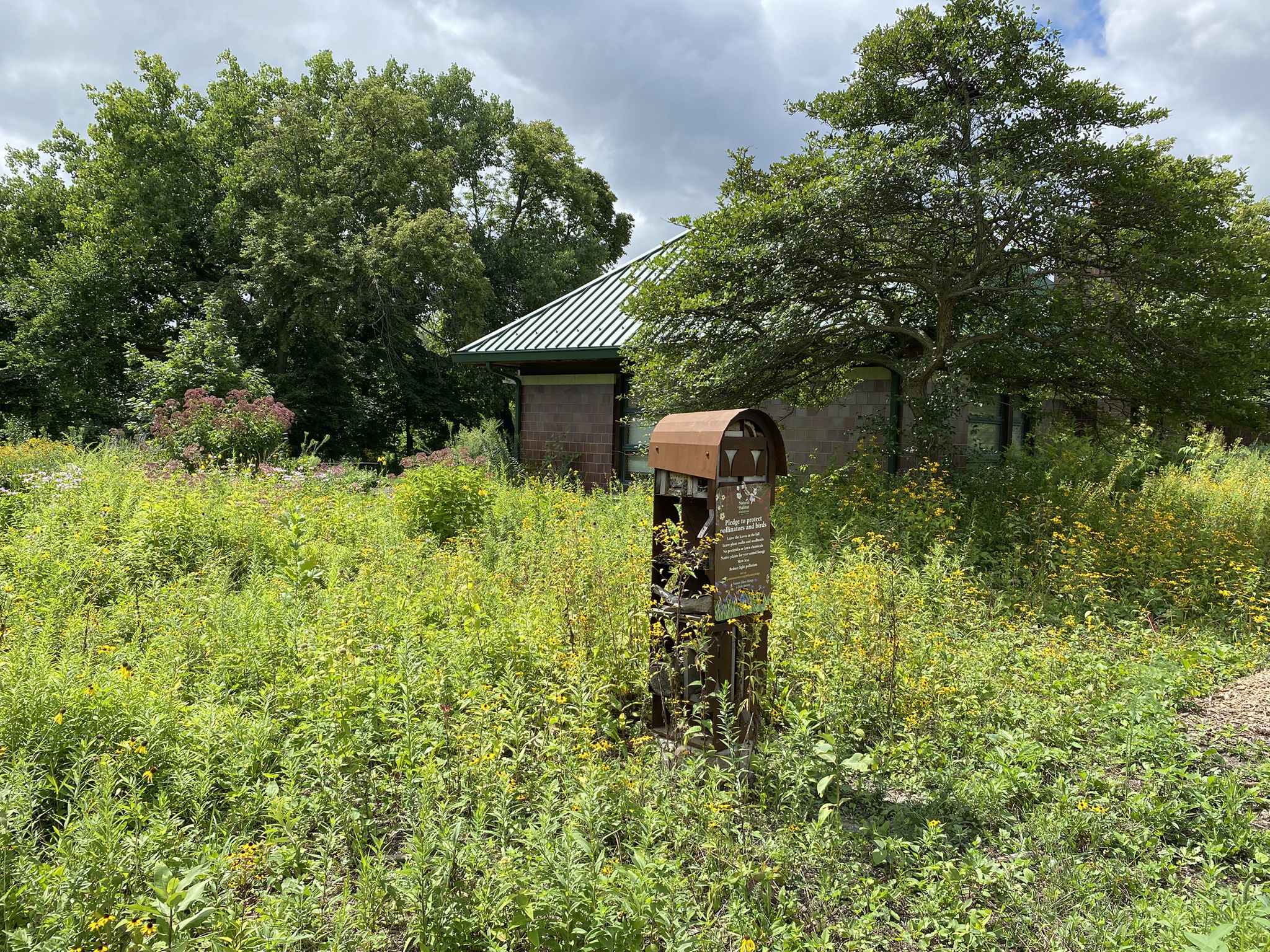 A rusty, old mailbox-like structure stands in a field of tall green grass. - Grosse Point Lighthouse loop from Davis