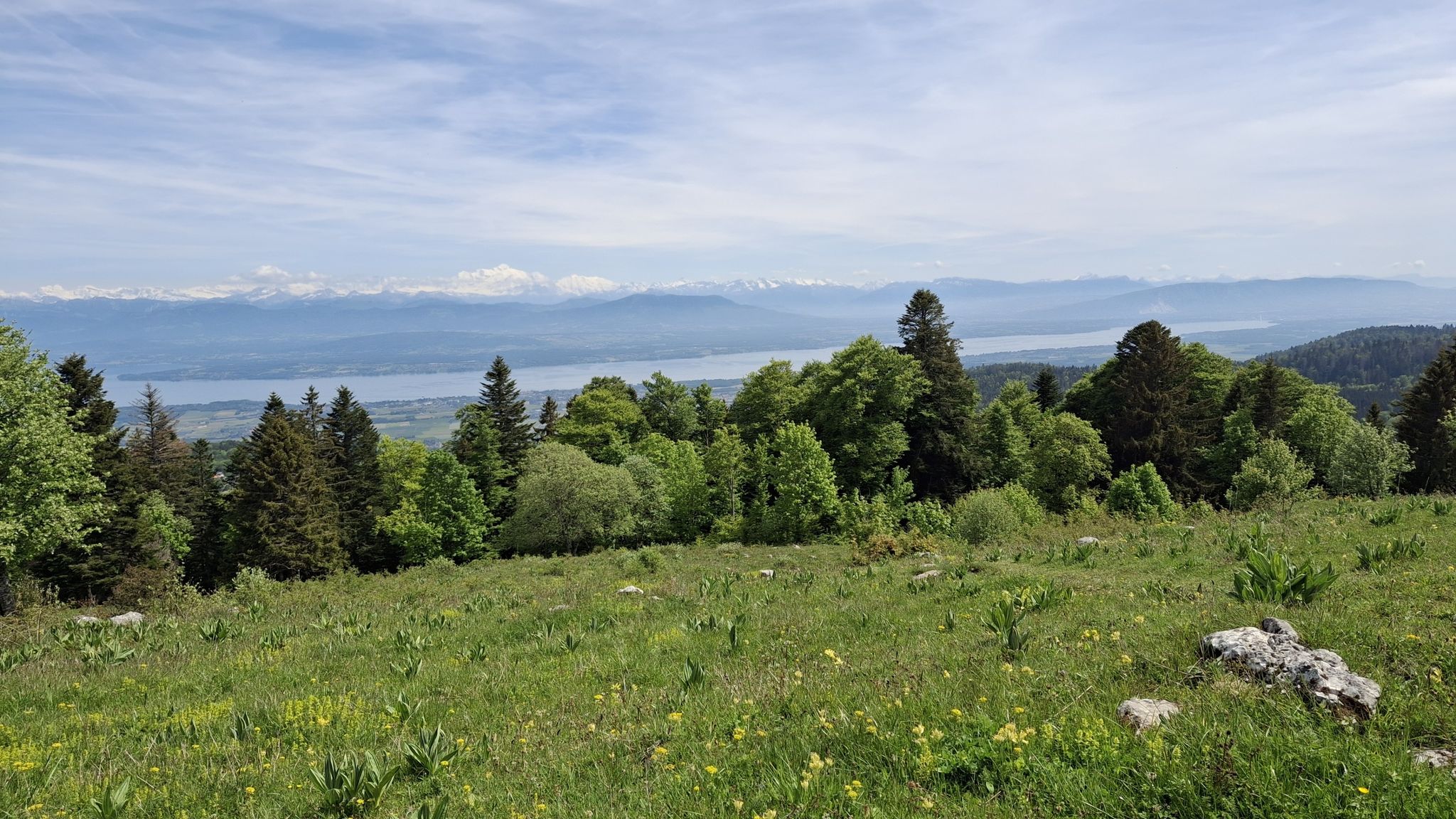 vue L'émancipation et Mont Blanc