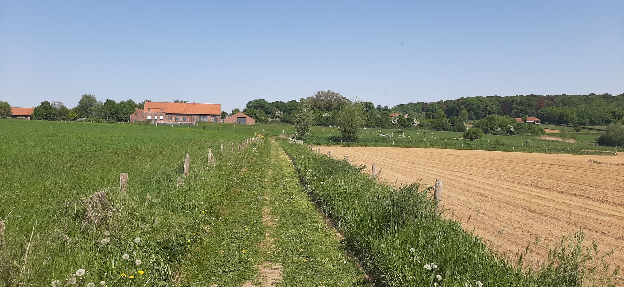 richting kemmelberg