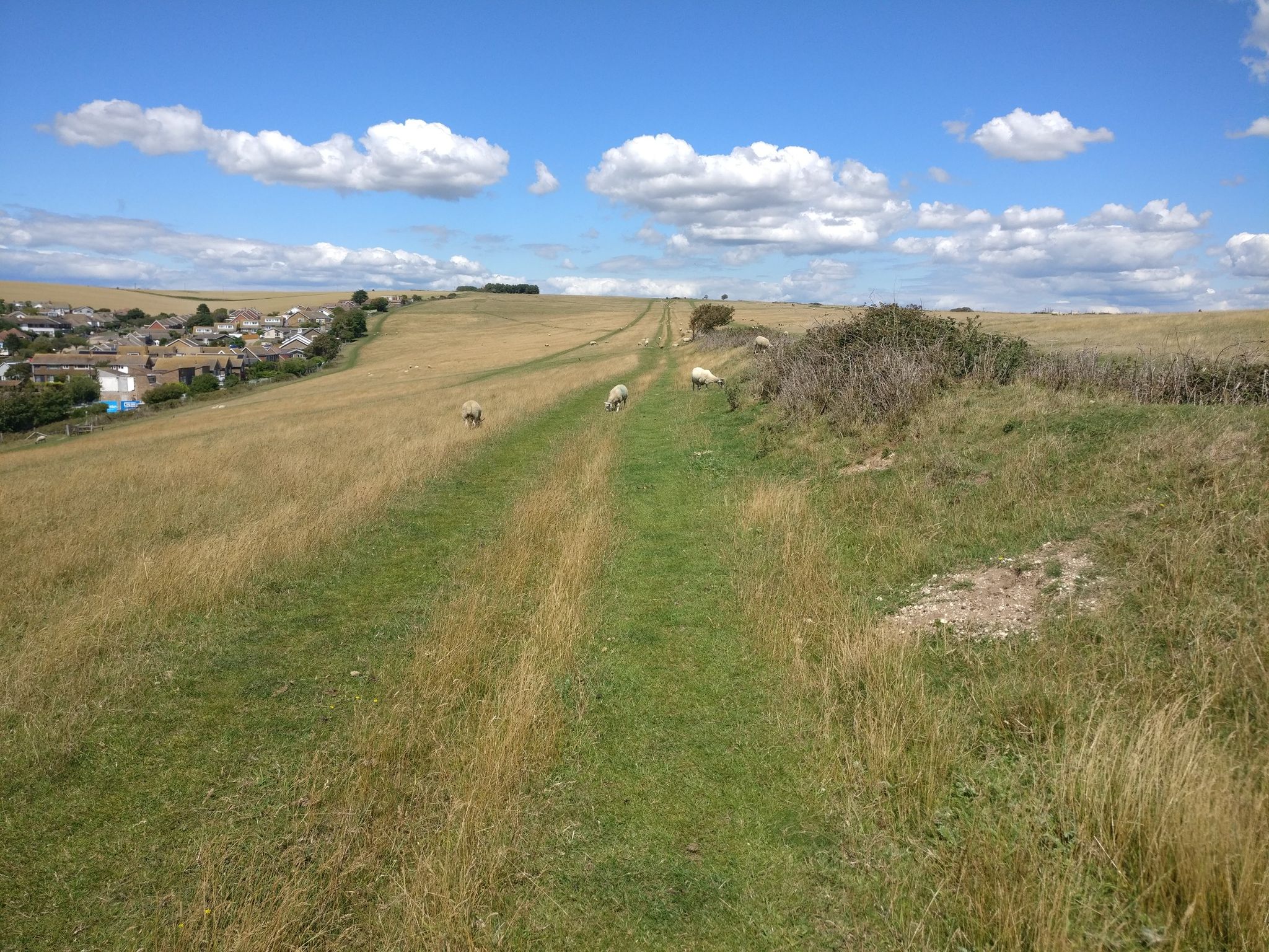 Telscombe Tye