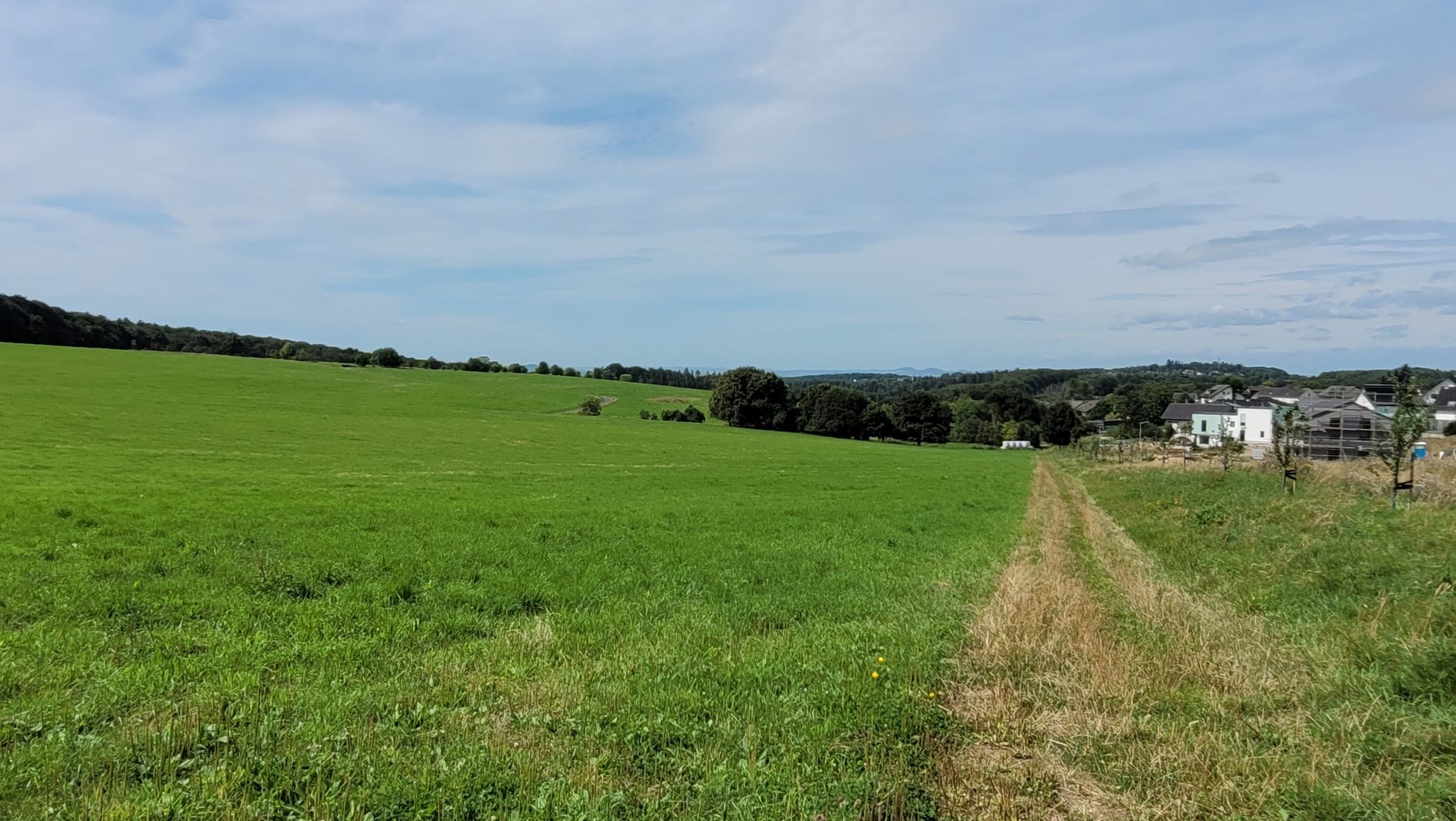 Fernblick