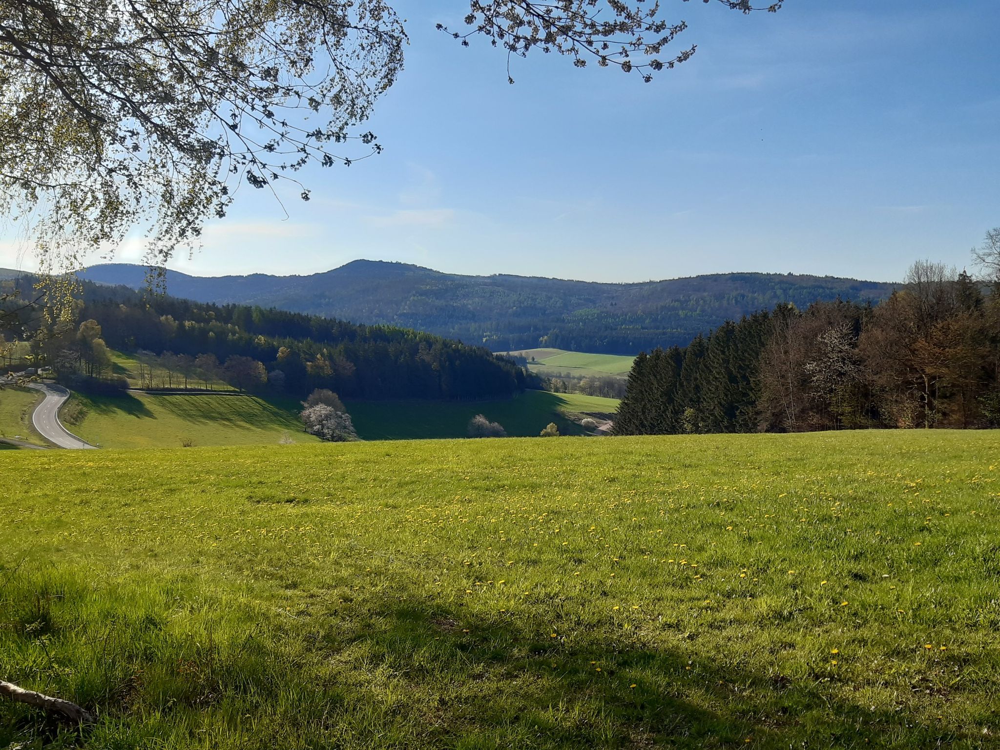 Blick zum Parkplatz  links 