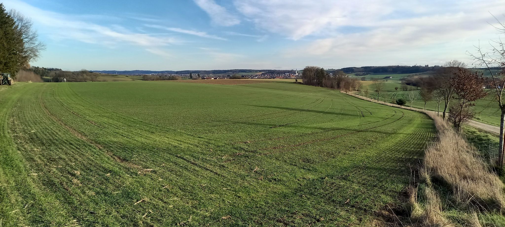 Hohenkammer