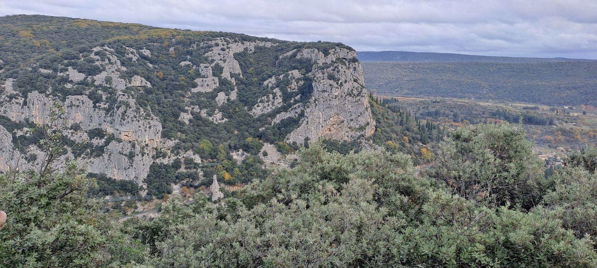panorama