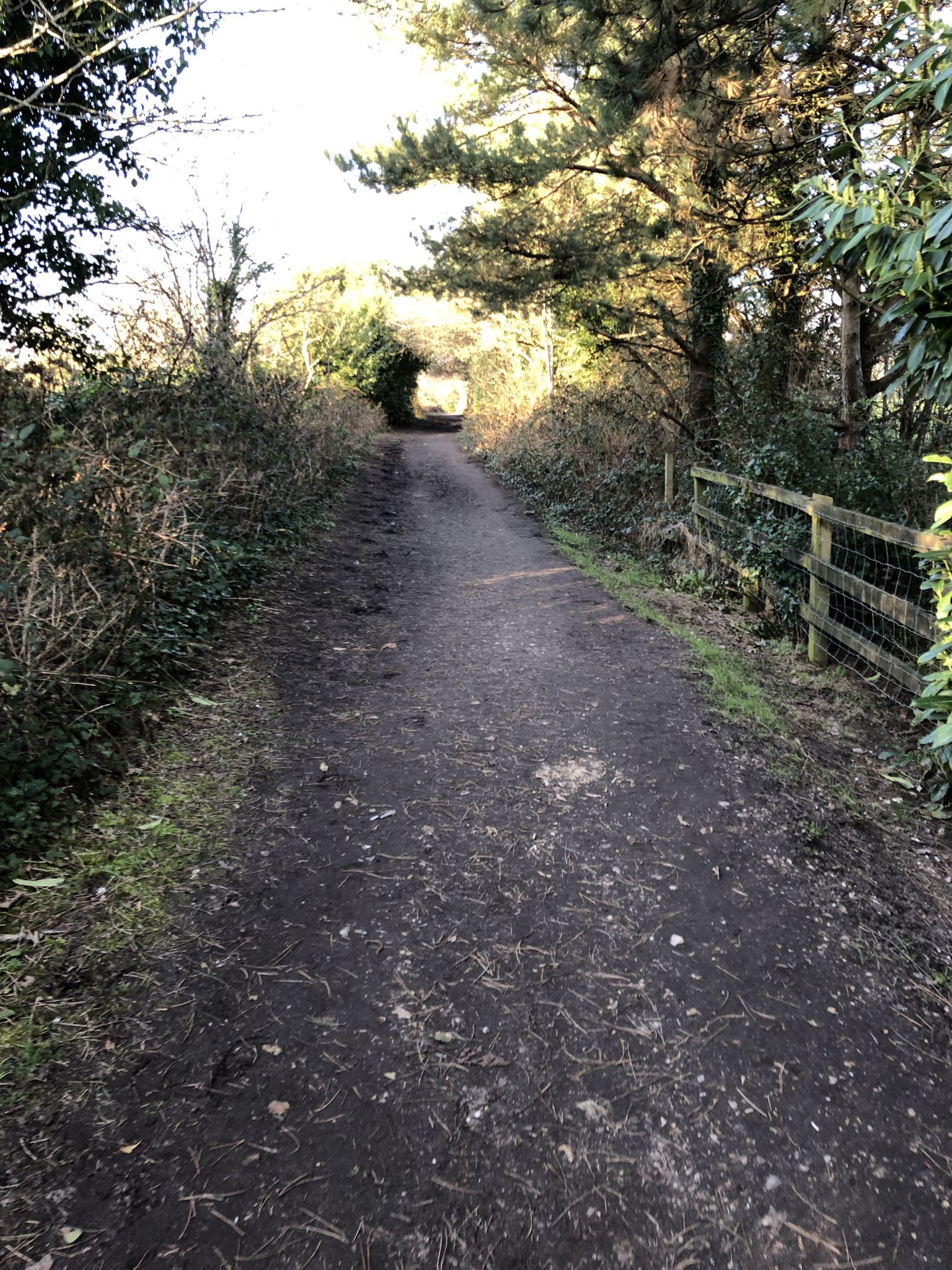Walking on a Roman Road
