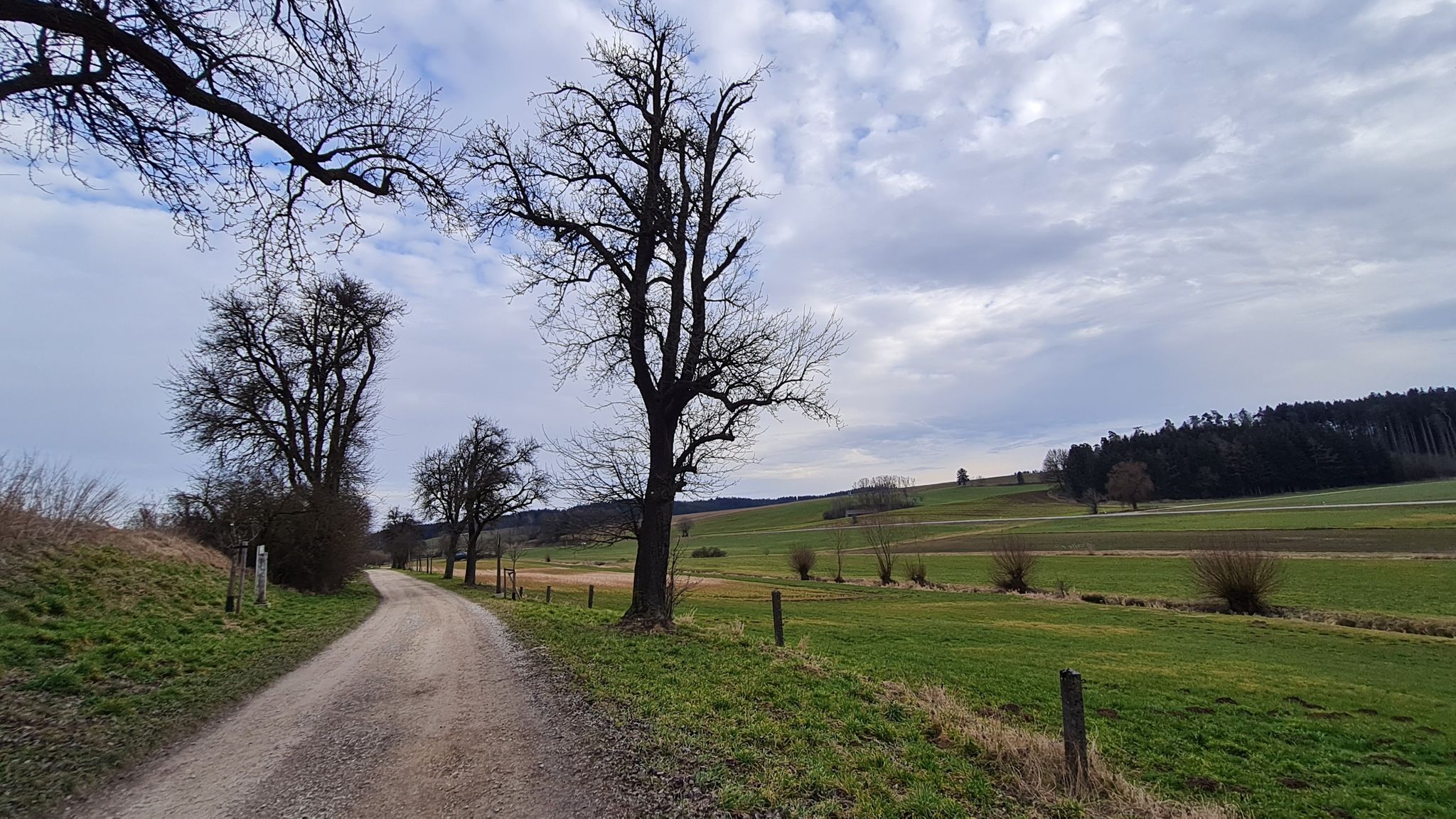 Birnbaumallee und Skulpturenweg