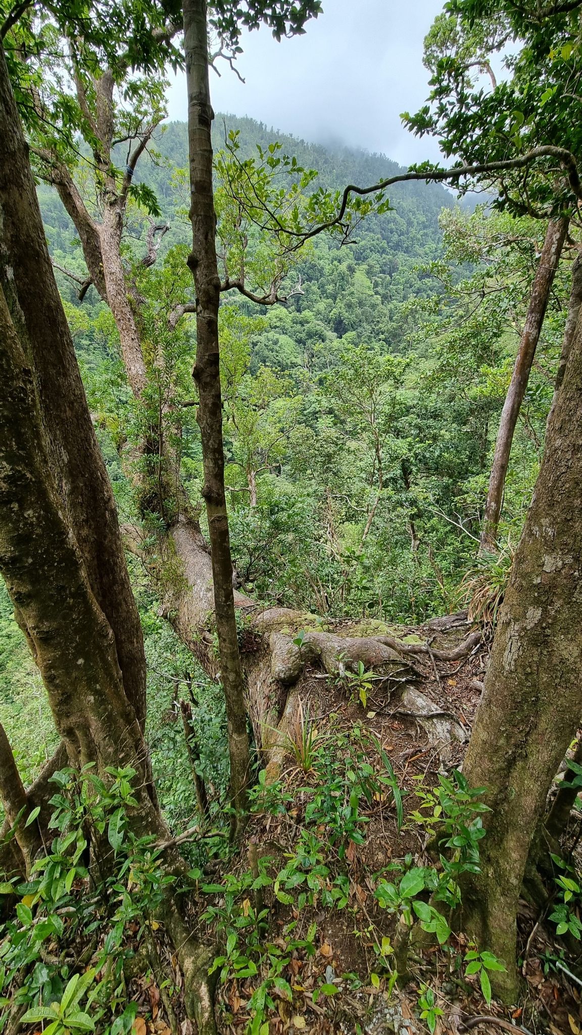 view point nr 2