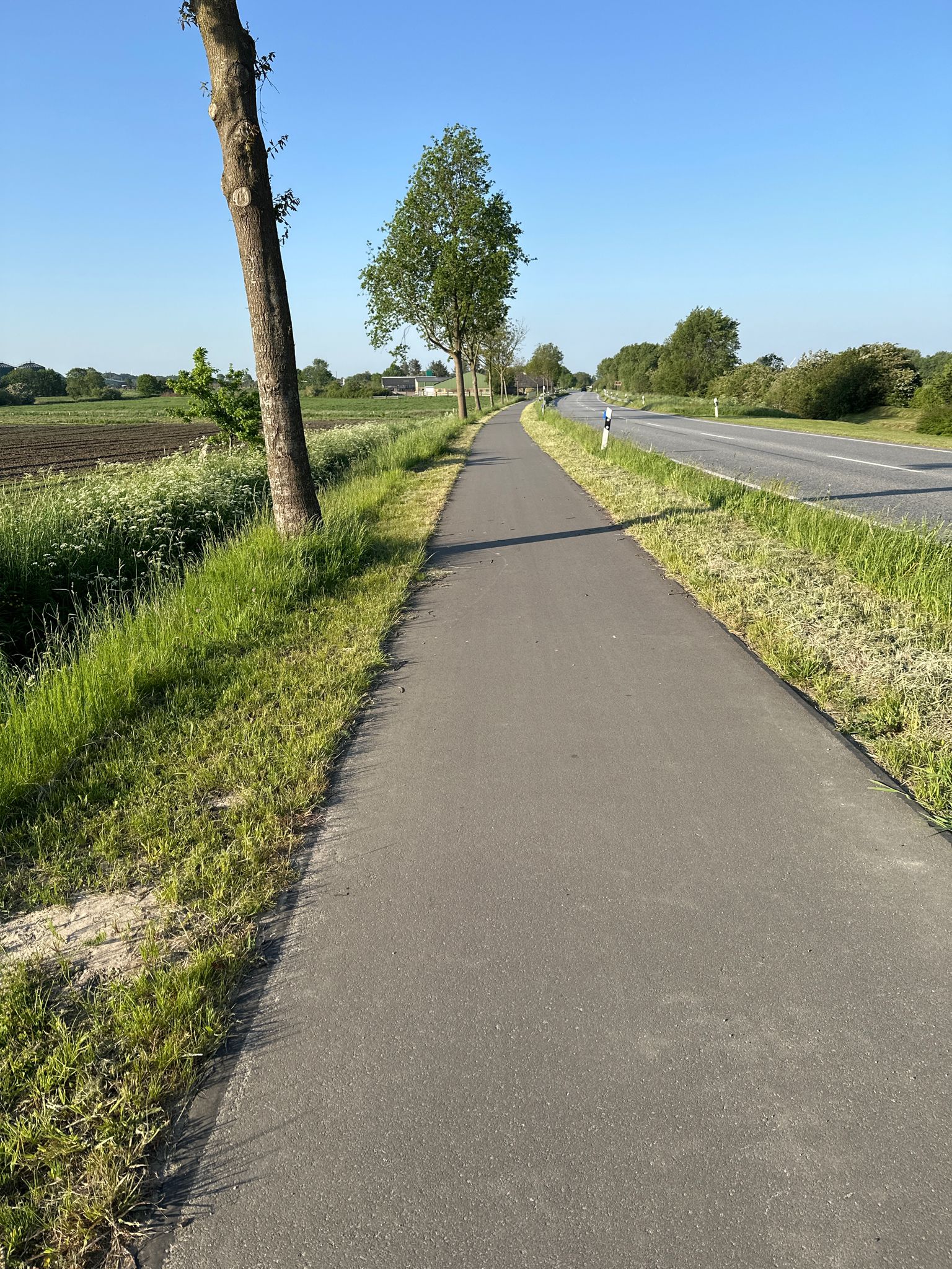 Ab Viöl ist der Radweg neu gemacht 👍