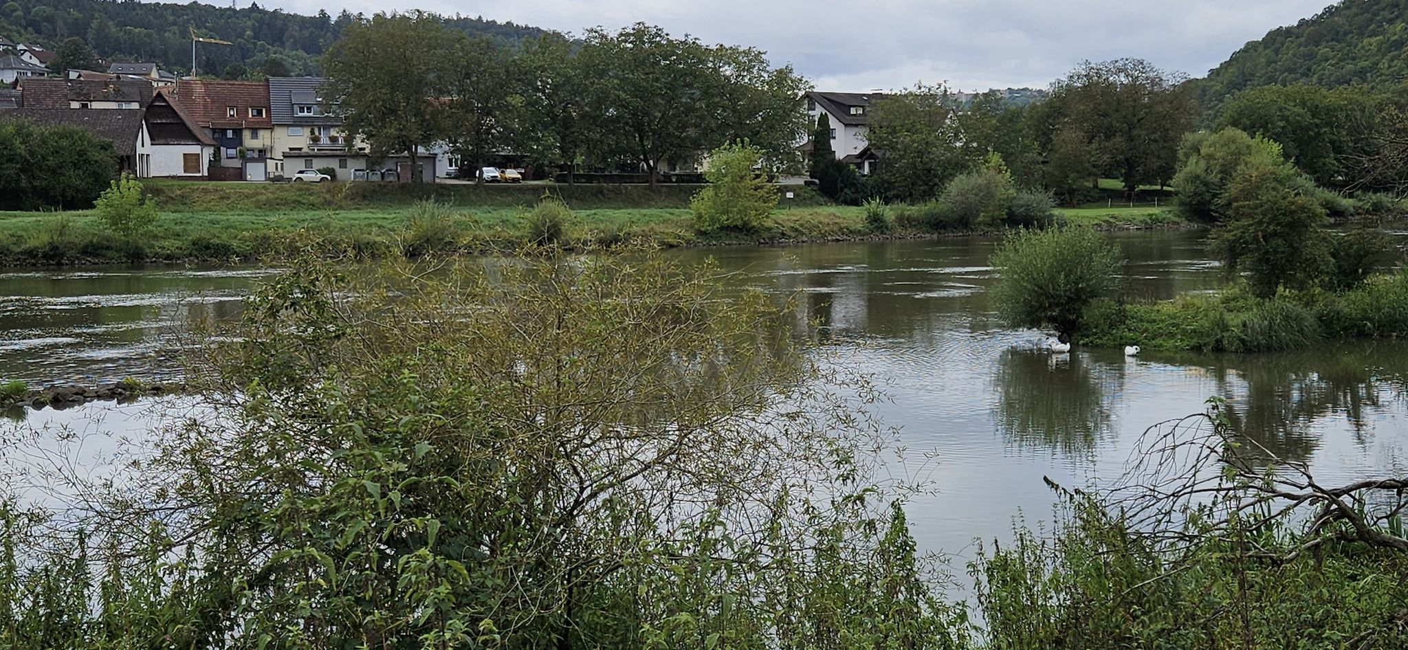 Schwan-Paradies