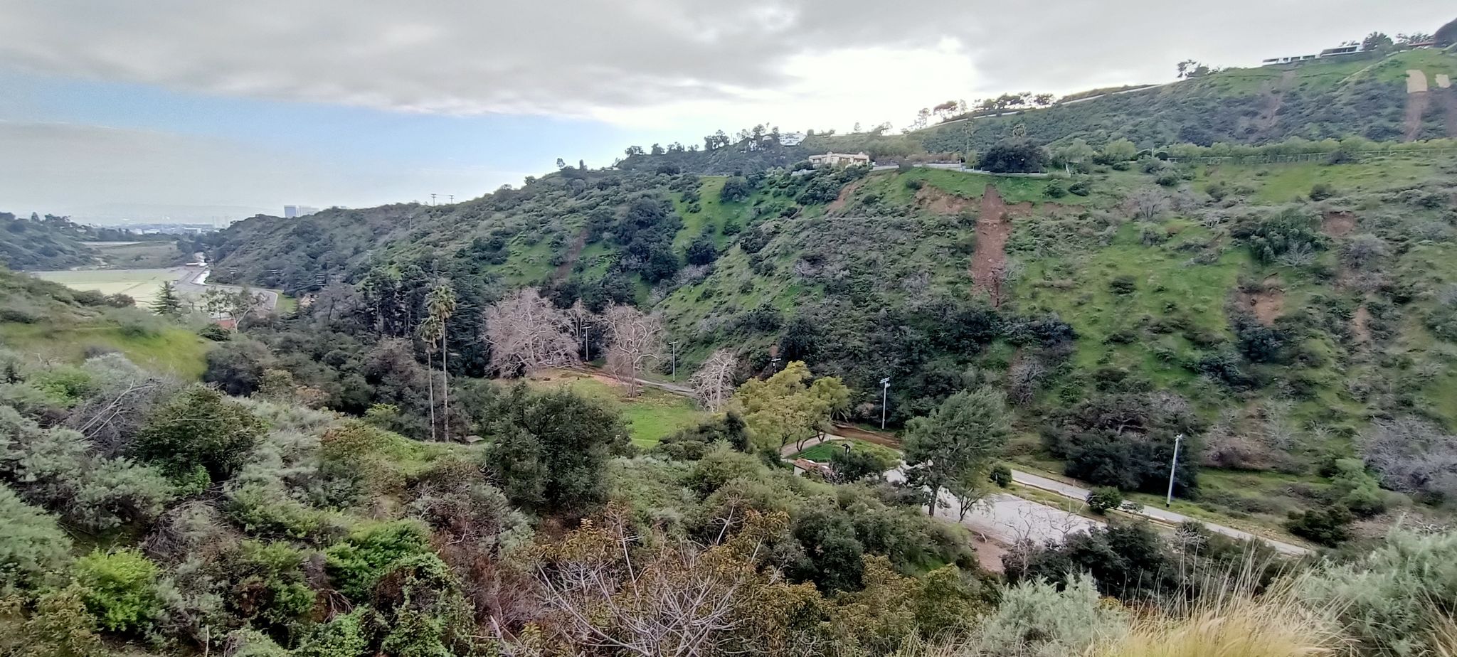 Lush green hills and valleys under a cloudy sky. - Tree People loop from Universal City/Studio City