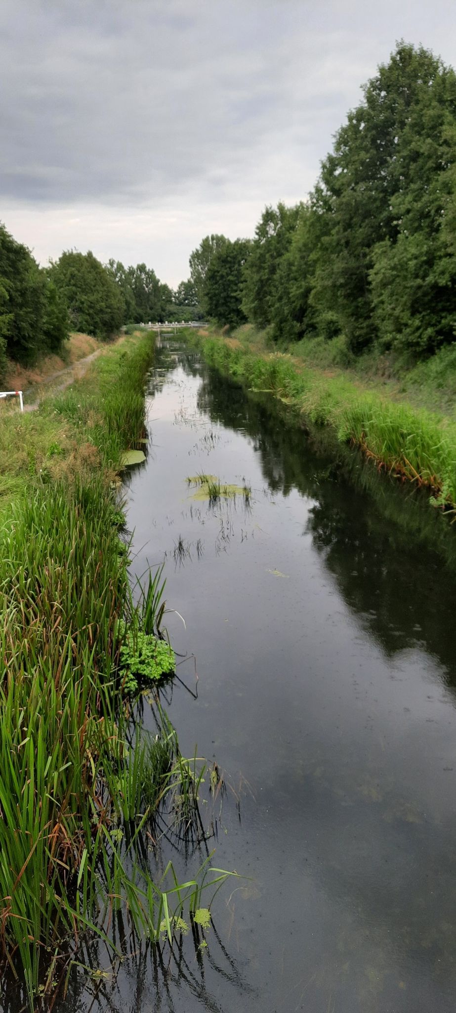 Und wieder die Nuthe