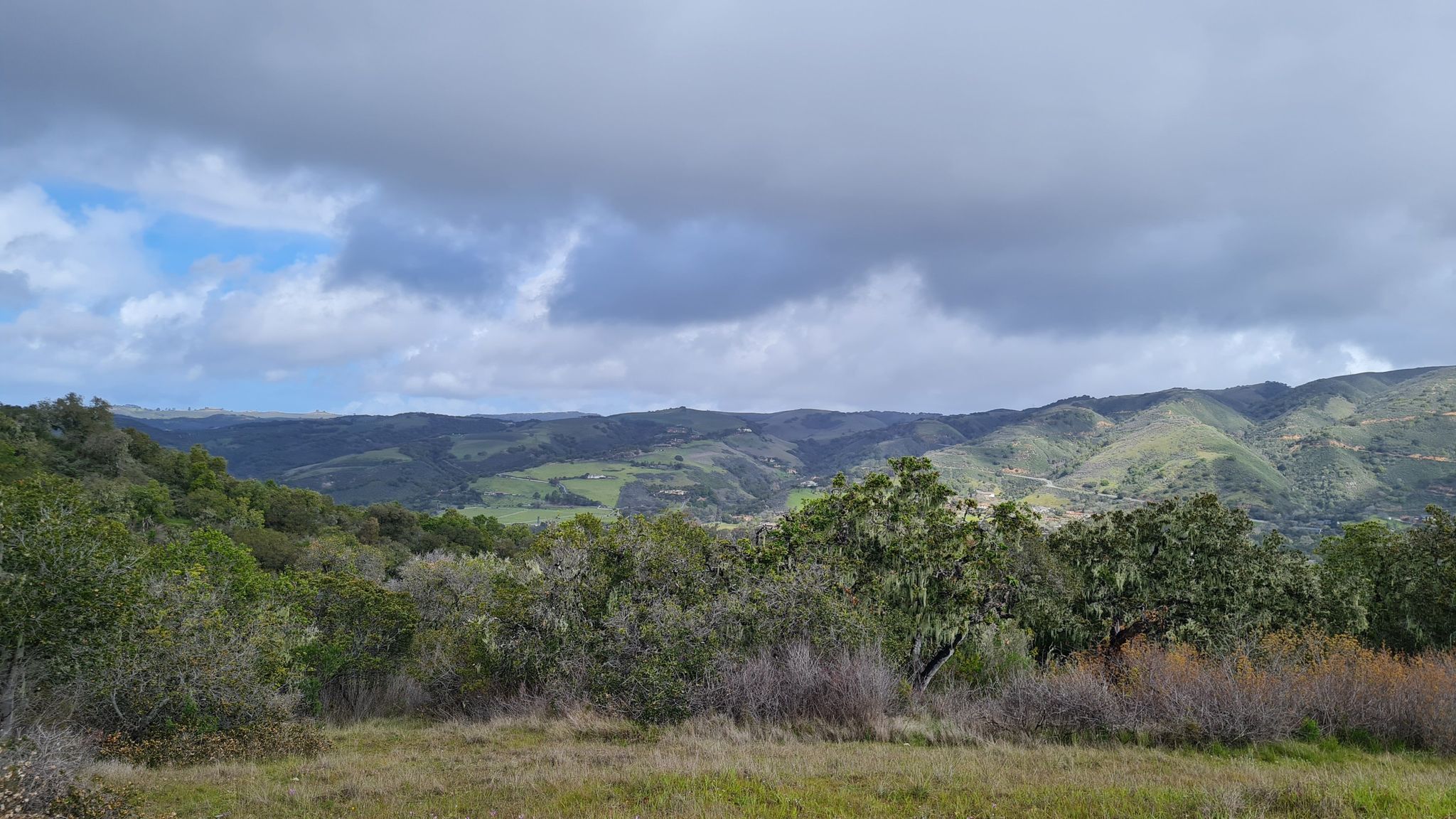 Rolling green hills under a cloudy sky, with dense trees in the foreground. - Mesa Trail