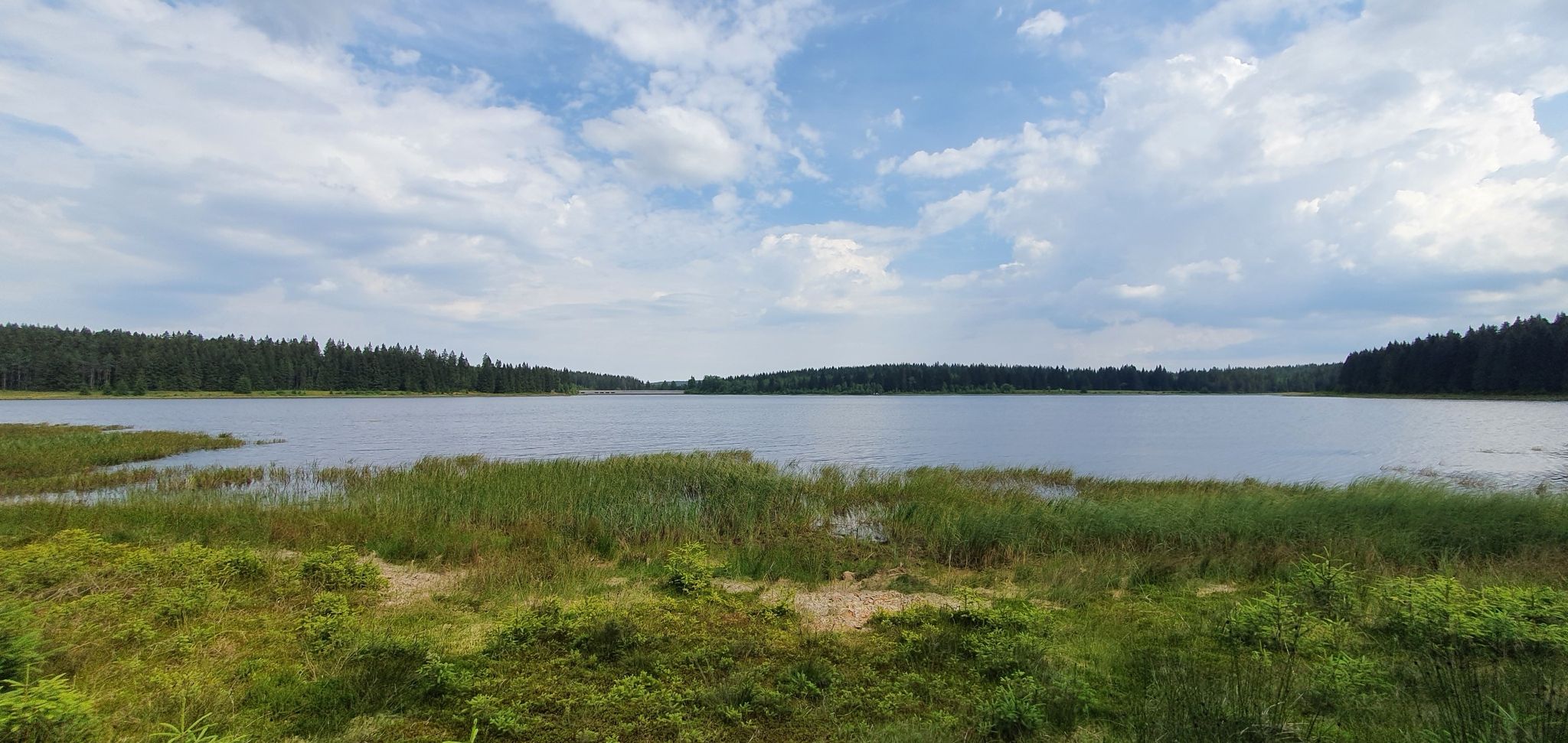 Talsperre Weitersglashütte