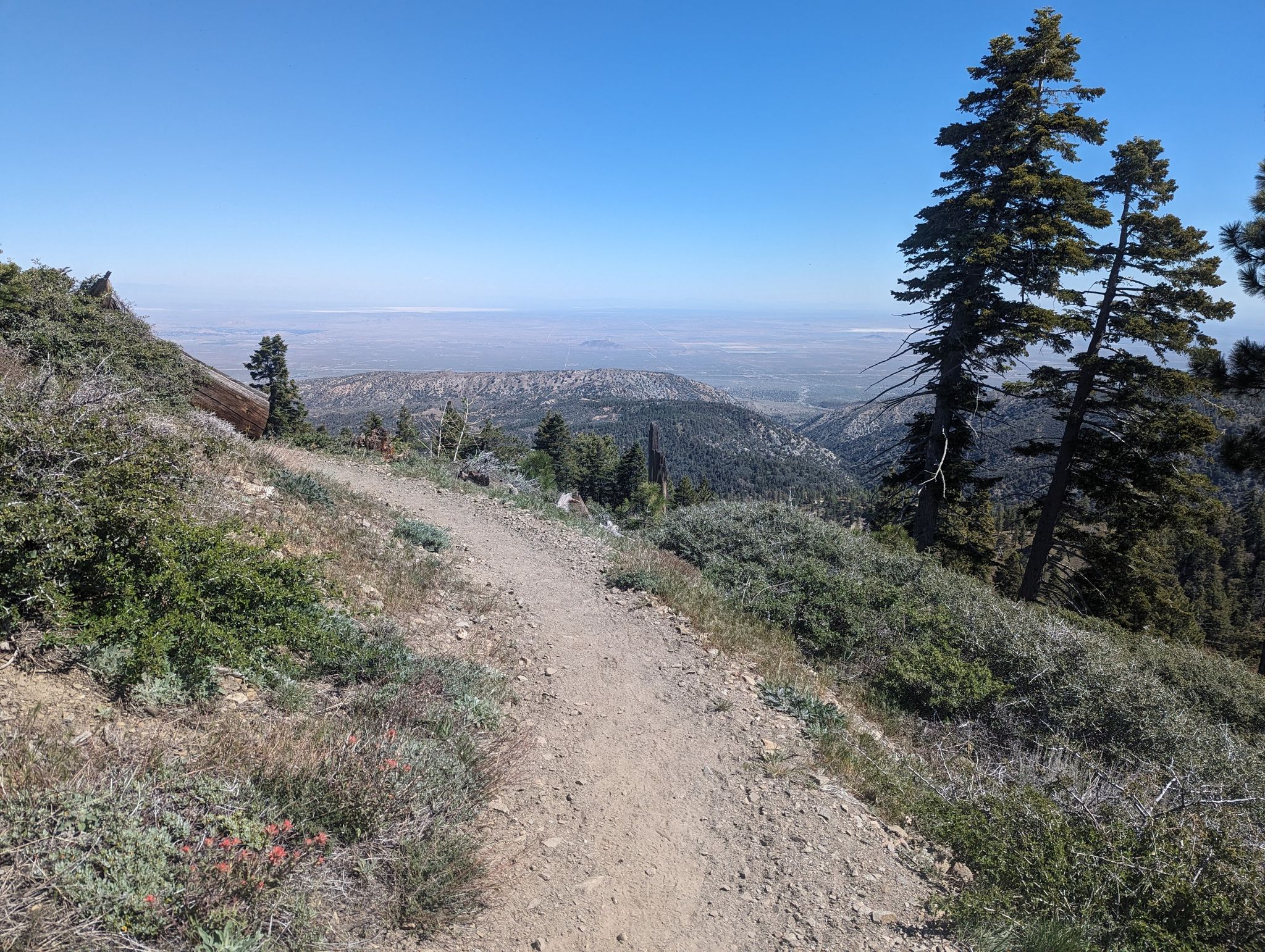 Dirt trail winding along a mountain ridge with pine trees and a distant valley. - Grassy Hollow to Jackson Flat via PCT