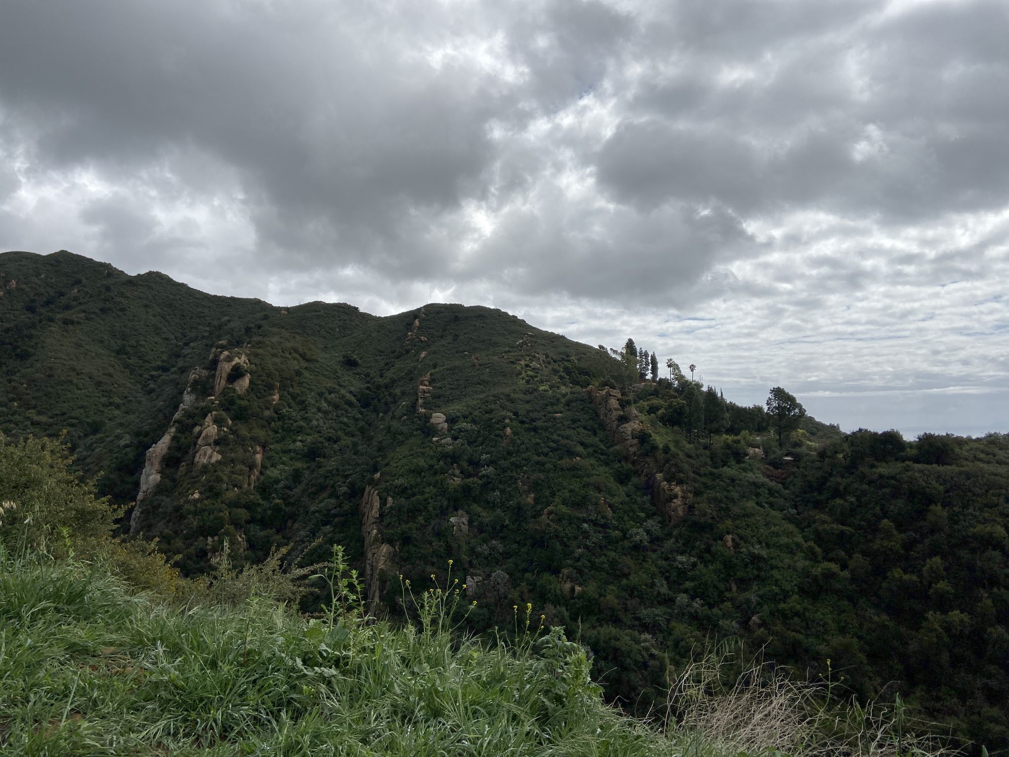 Green, brush-covered mountains under a dramatic, cloudy sky with ocean glimpse. - Tunnel Trail