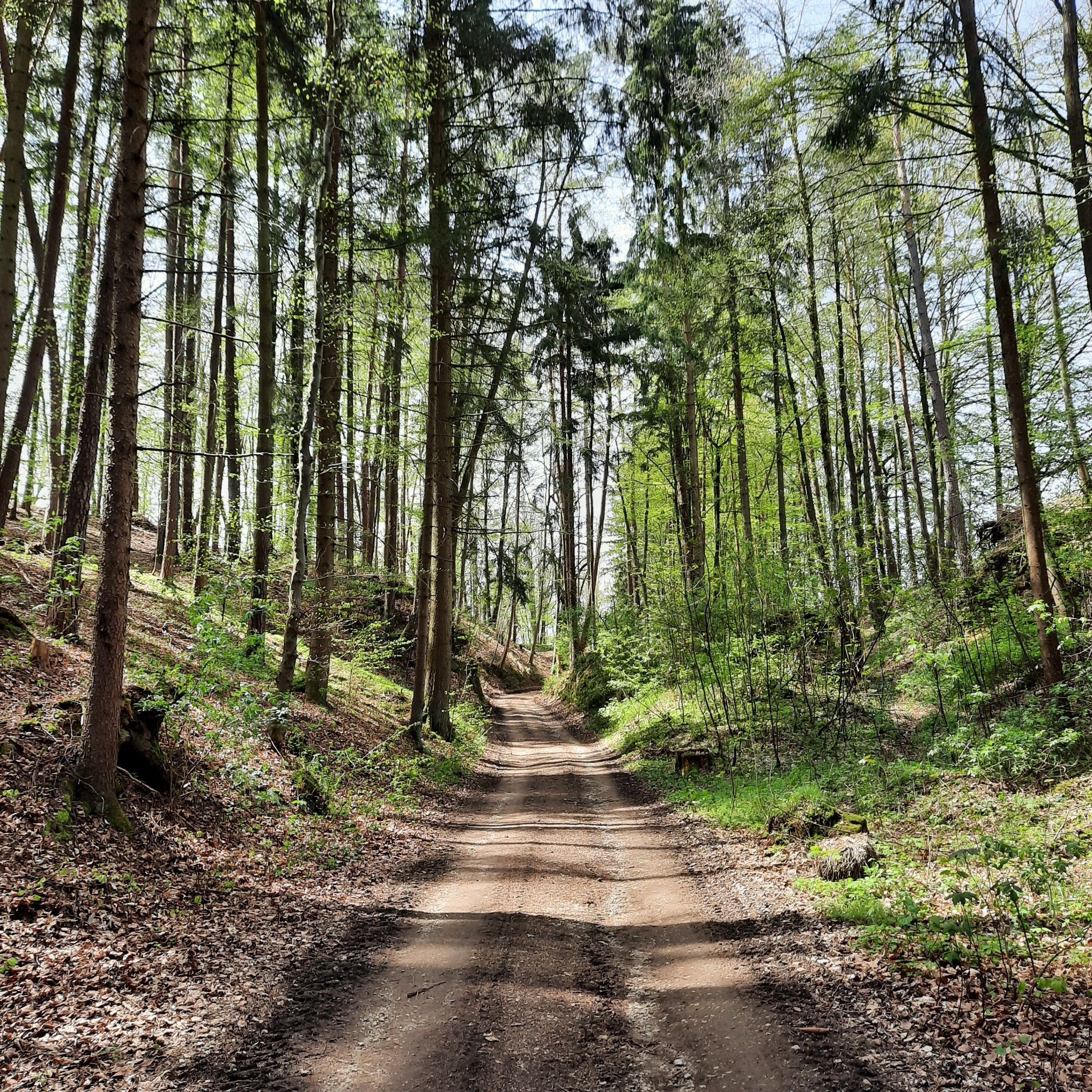 Weg nach Kalkbüsch