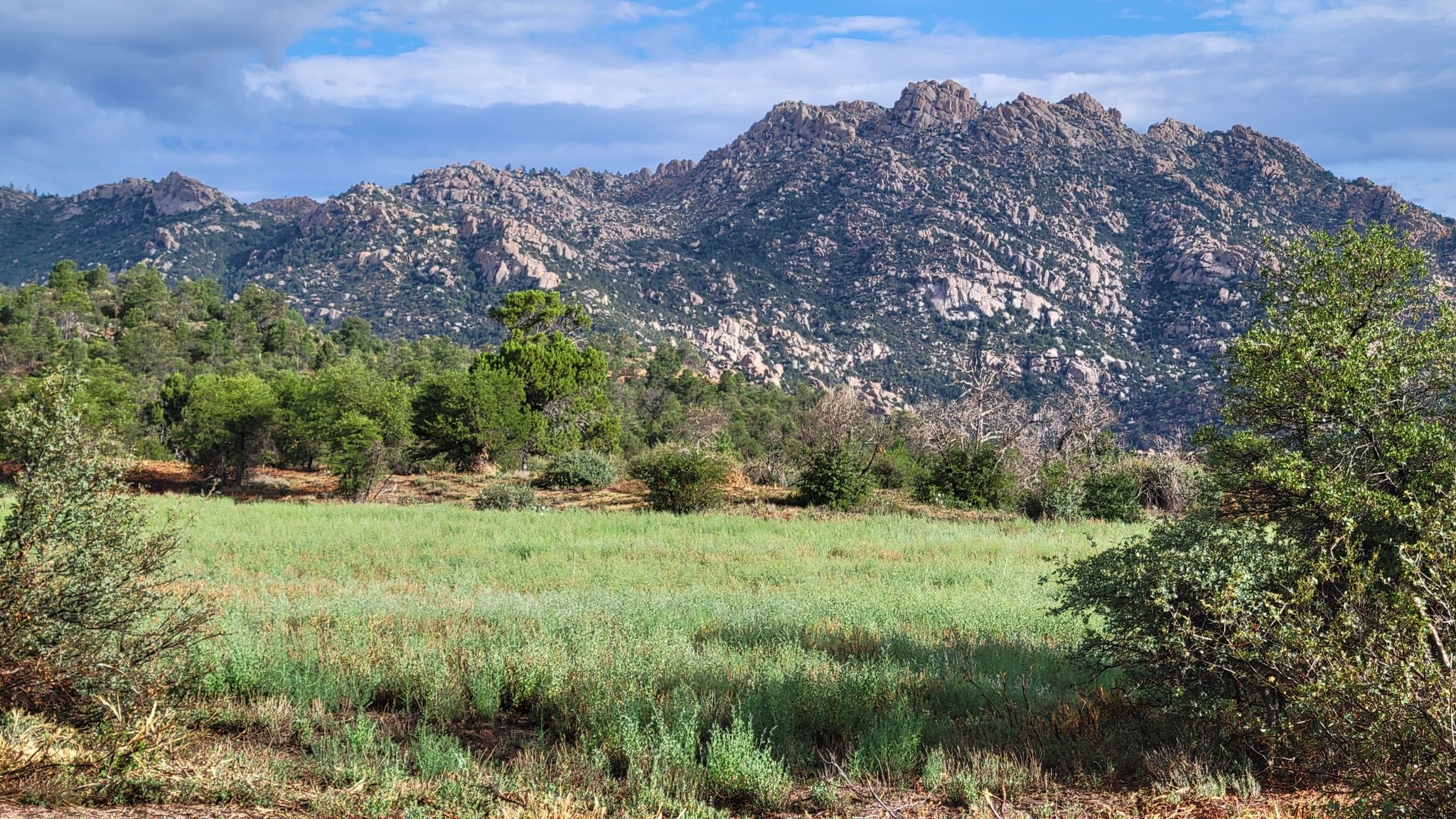 Green field and trees, rocky mountains under a partly cloudy sky. - Balancing Rock and Willow Trail Loop