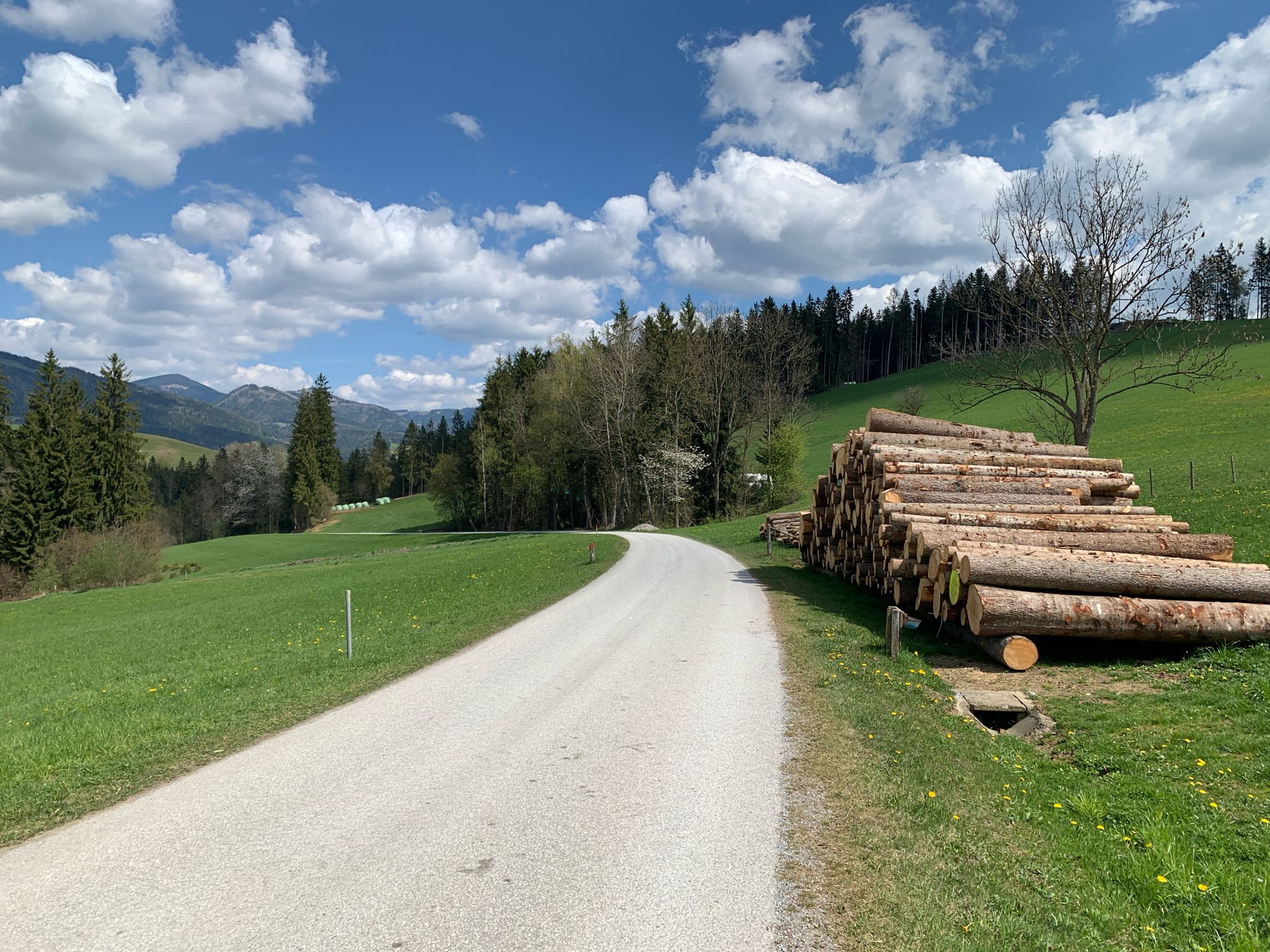 Am Schweineggweg
