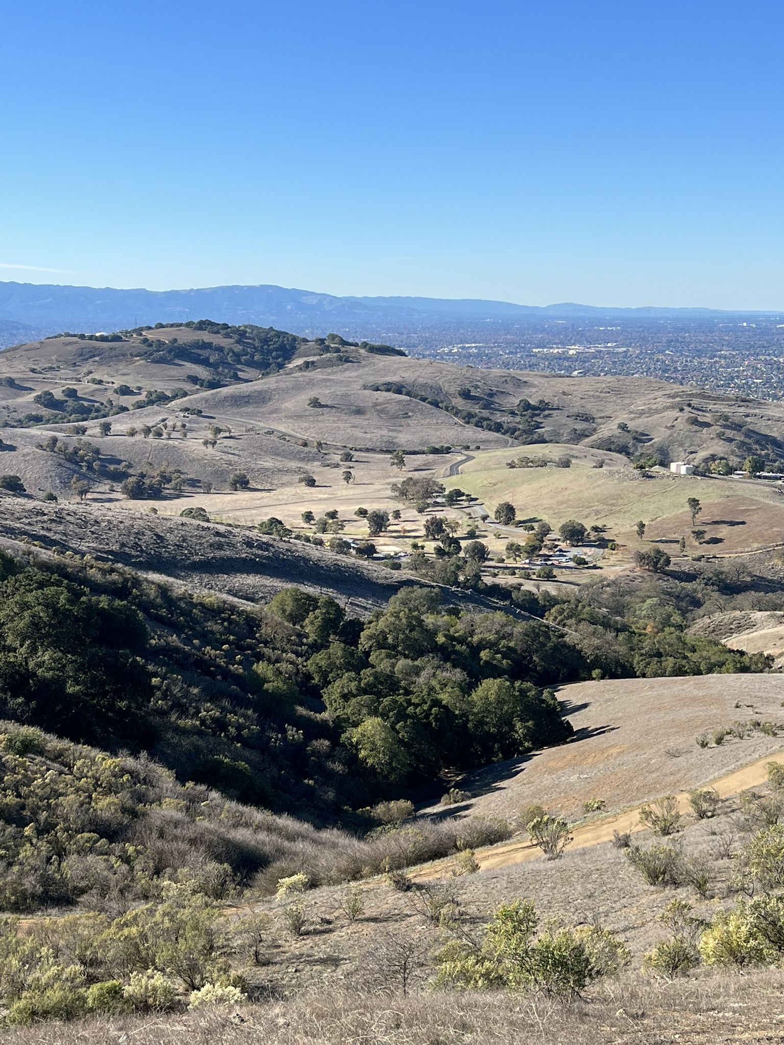 Expansive view of dry, rolling hills with scattered trees and distant city. - Coyote Peak Loop