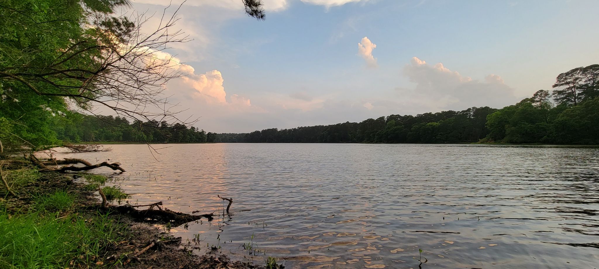 A wide, calm lake surrounded by green forest under a colorful, cloudy sky. - Dogwood and Prairie Branch Loop