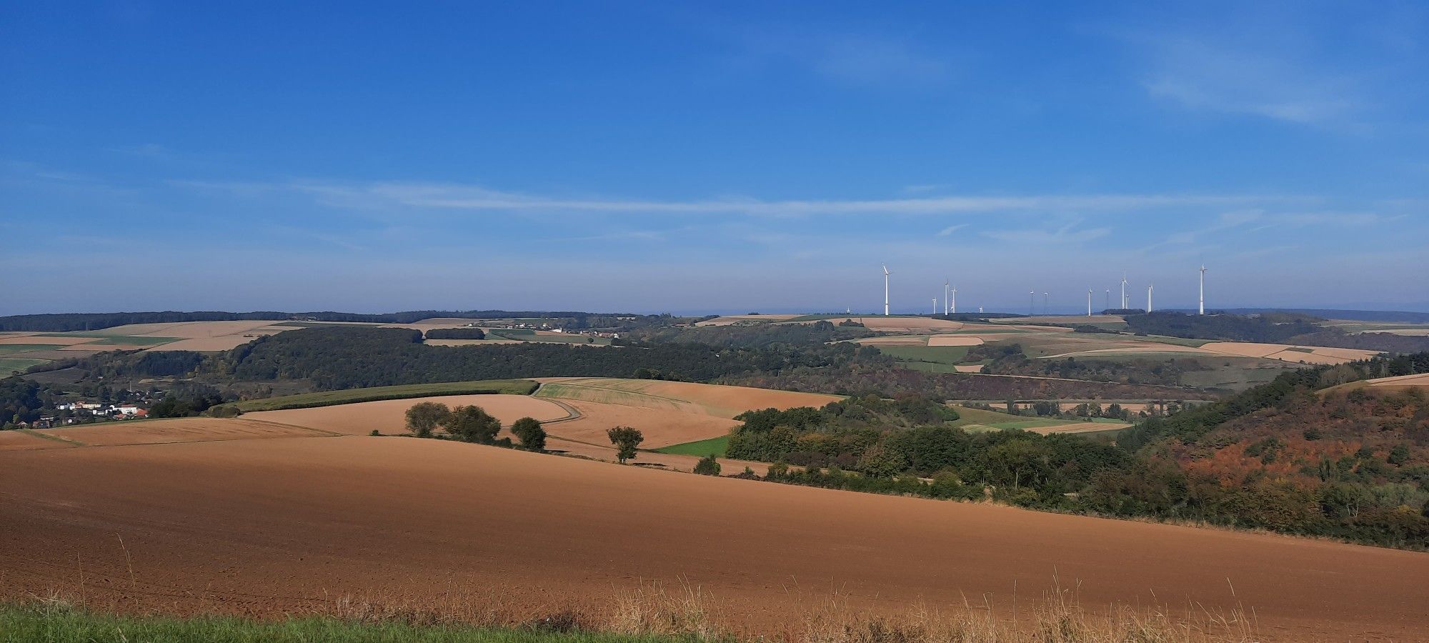 Blick Richtung Münsterappel