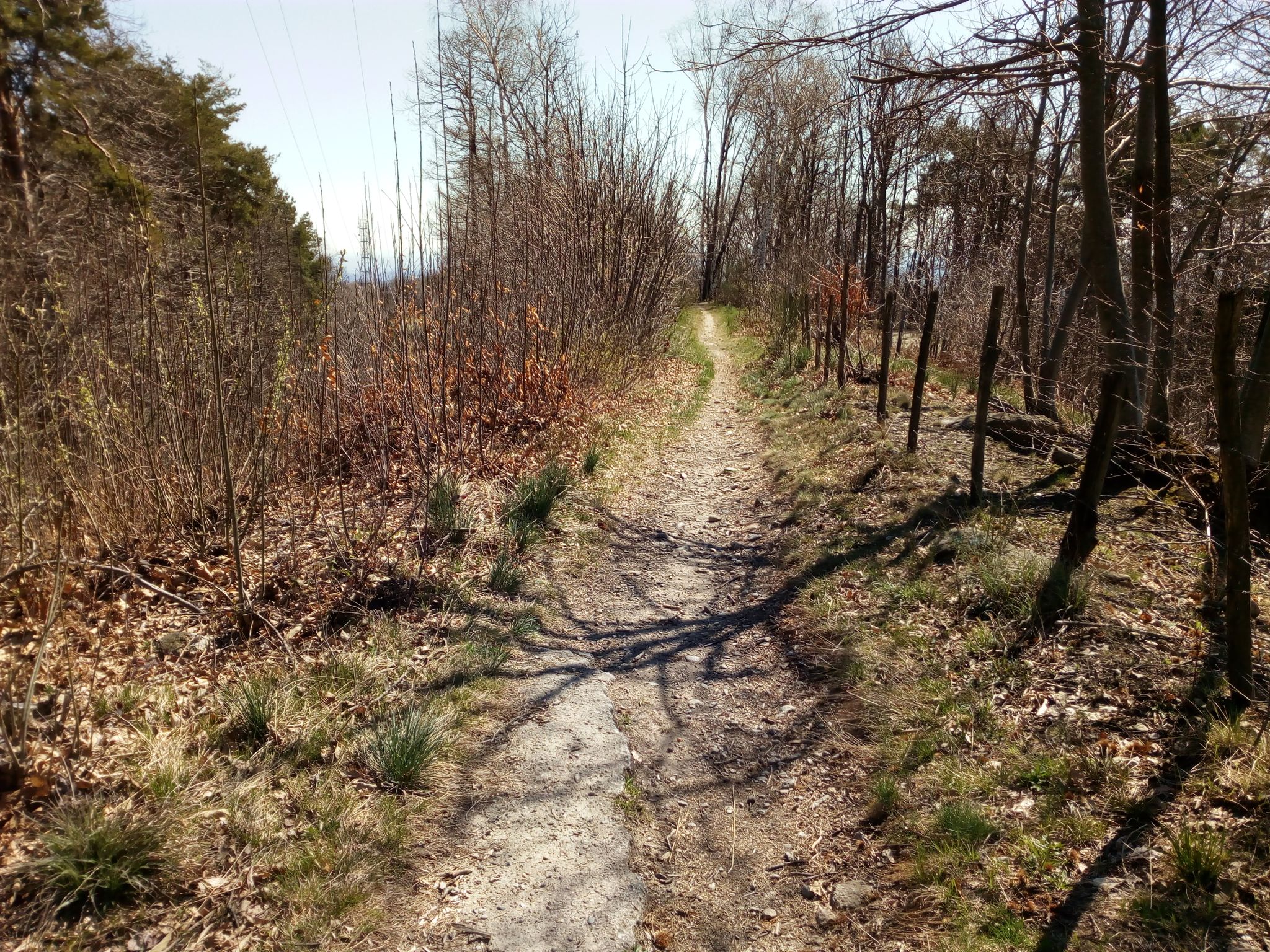 Il single-track sul crinale... quasi tutto così!