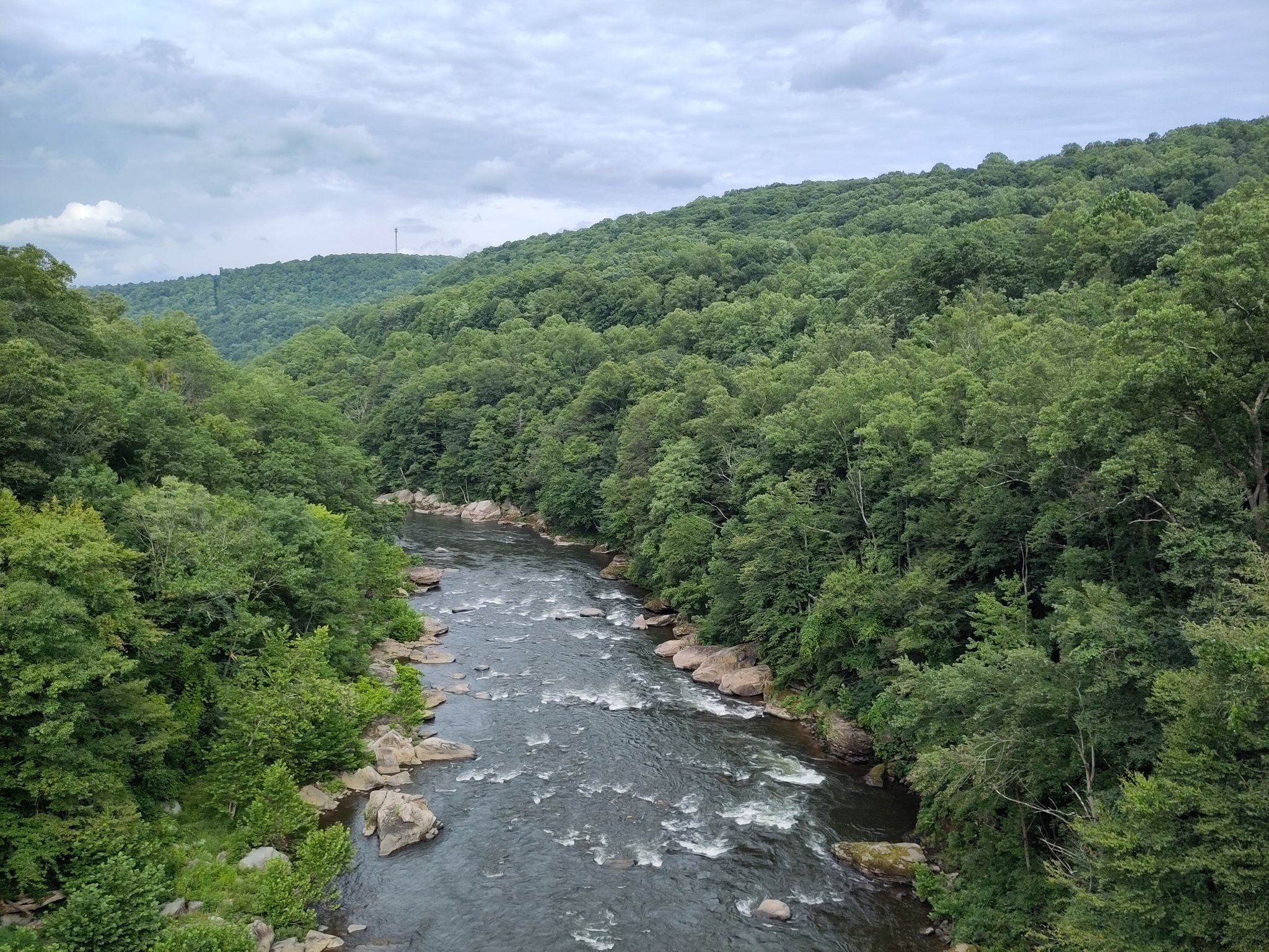 River winding through a dense green forest under a cloudy sky. - Ferncliff Trail