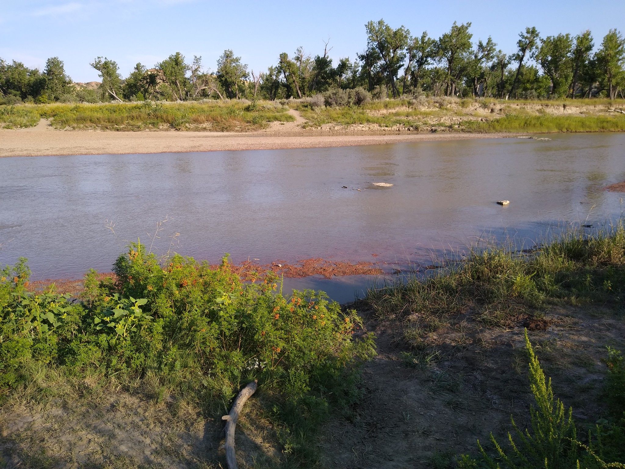 A wide river flows past sandy banks and green foliage under a sunny sky. - The Big Plateau and Ekblom Trail Loop