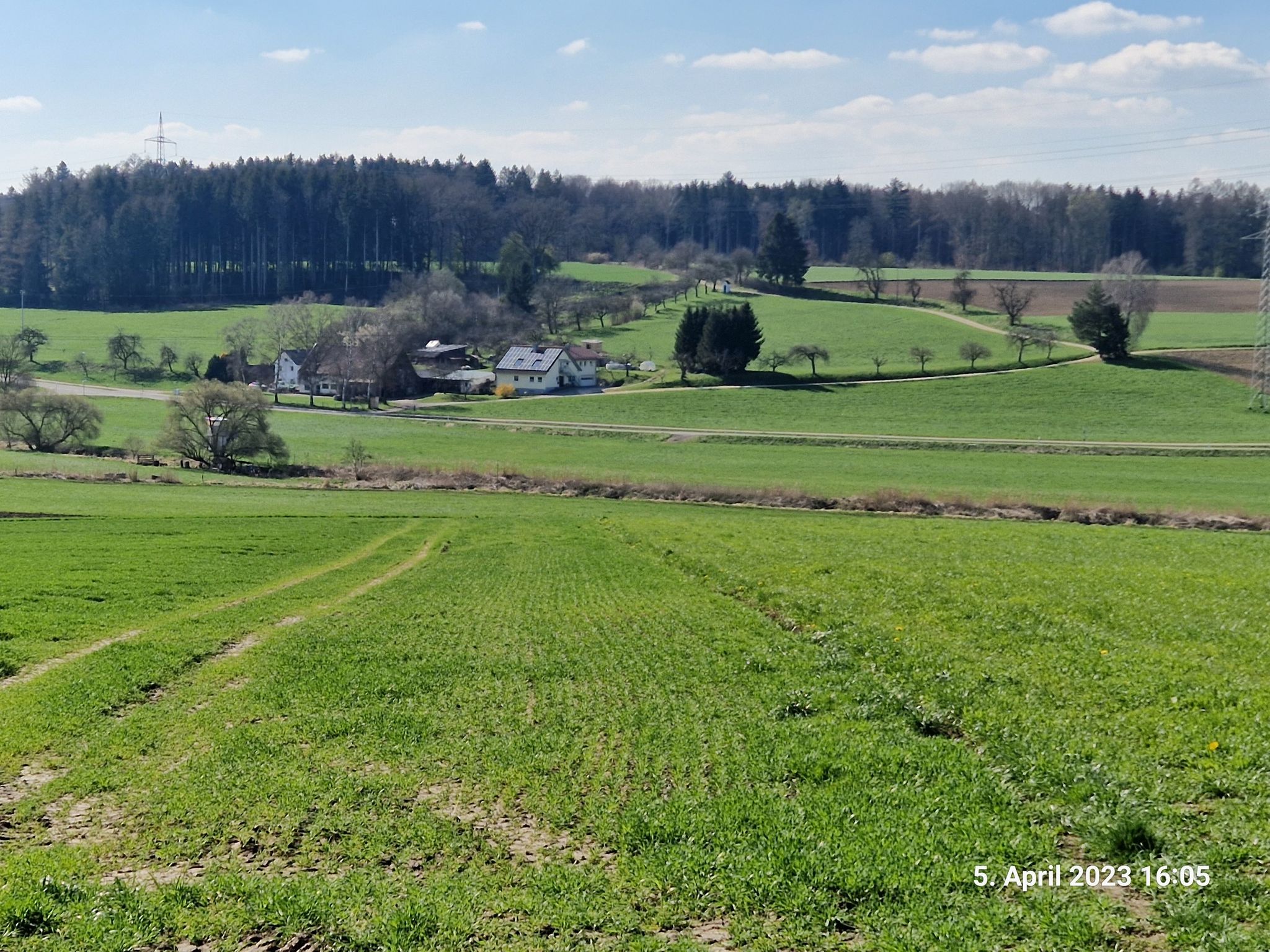 Blick ins Weihungstal (Staig/Unterkirchberg)
