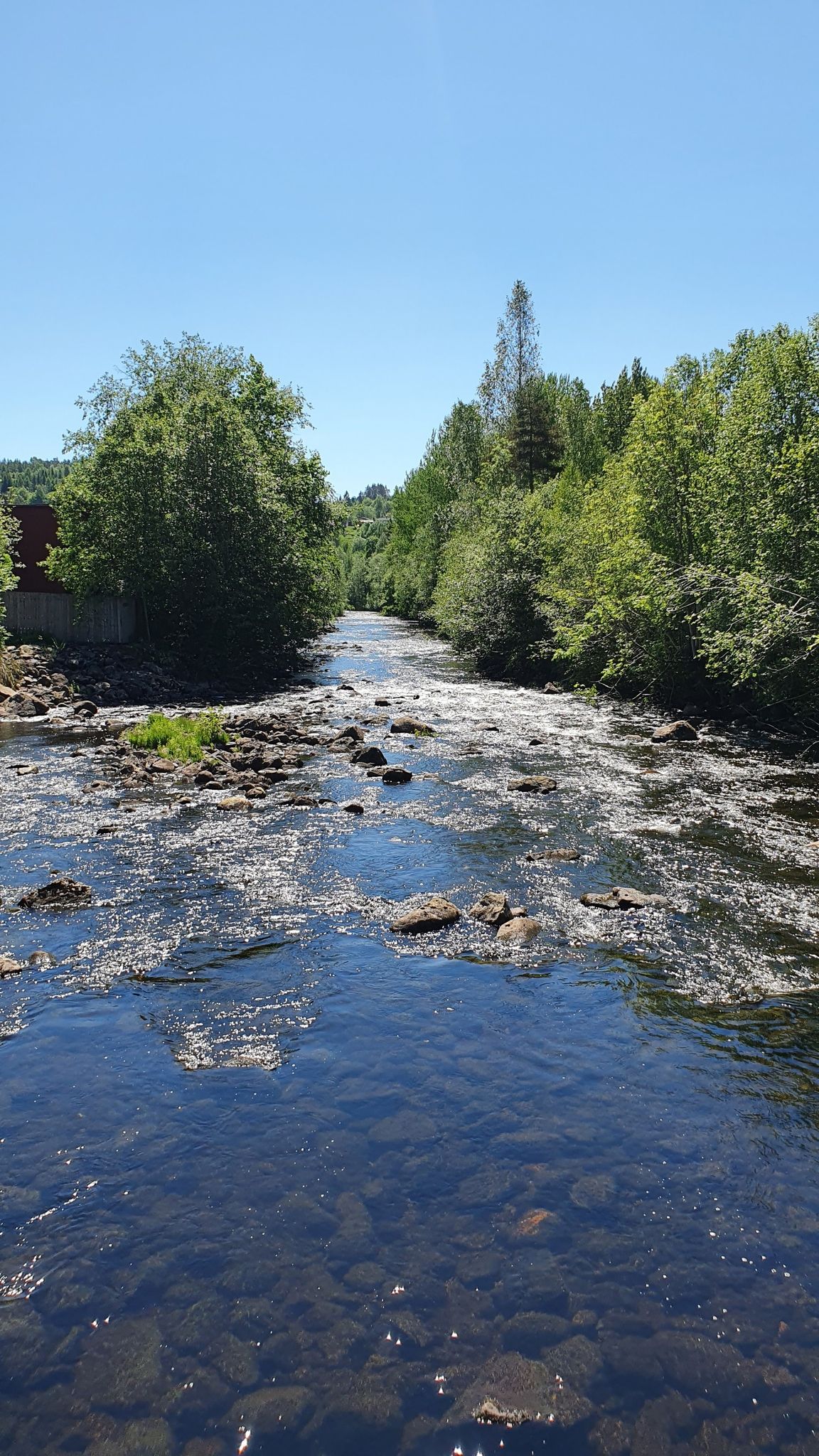 Storelva
