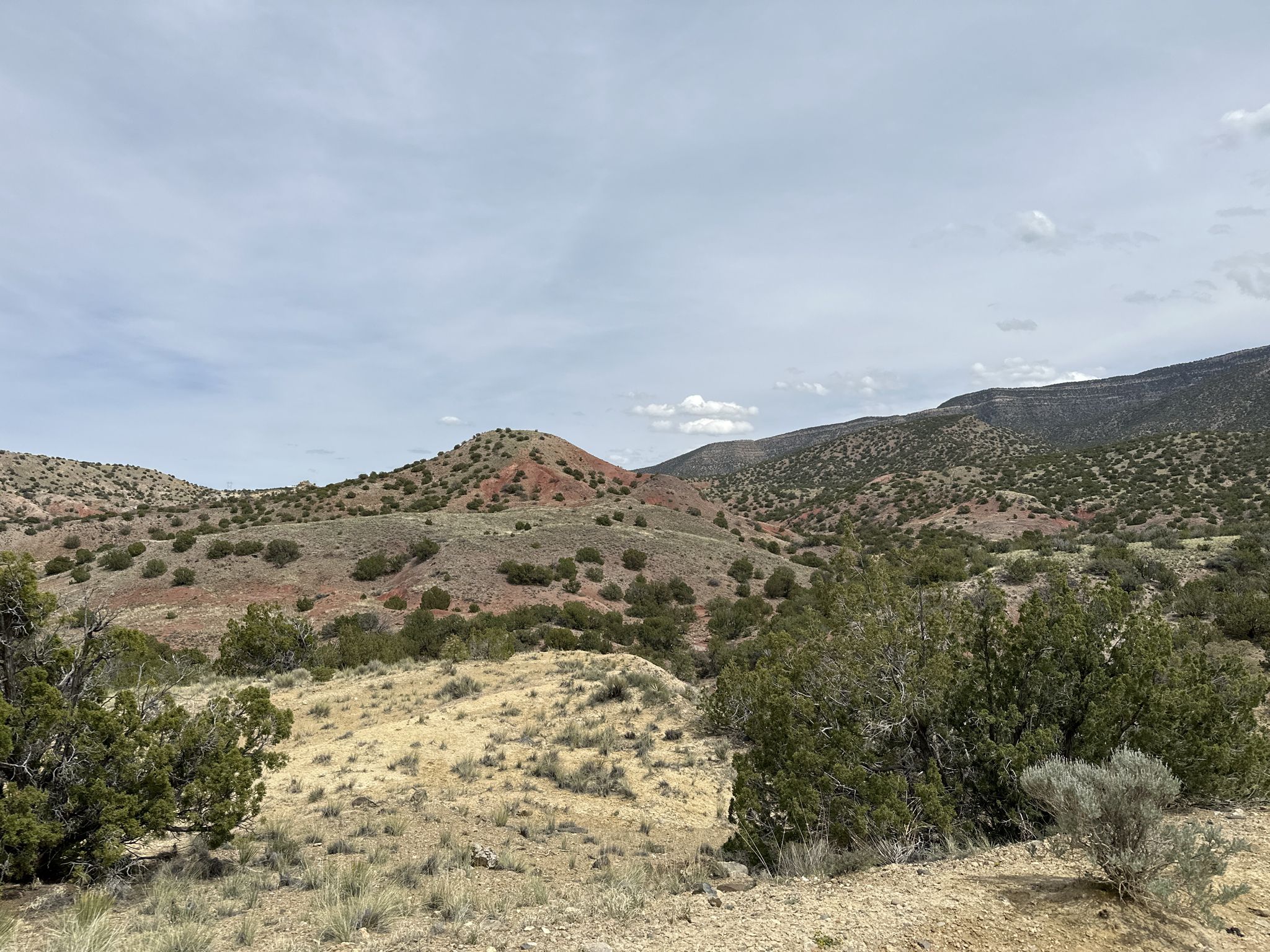 Rolling desert hills with green shrubs under a soft, cloudy sky. - Strip Mine and Chalk Dust Loop
