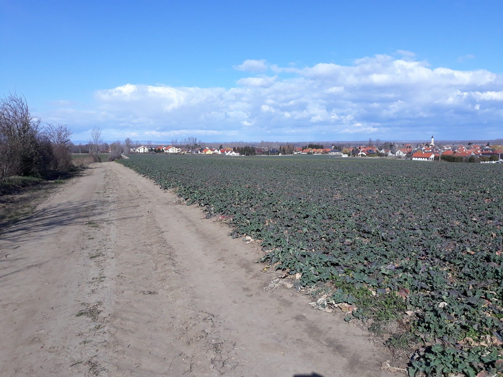 Blick zurück nach Hegykö
