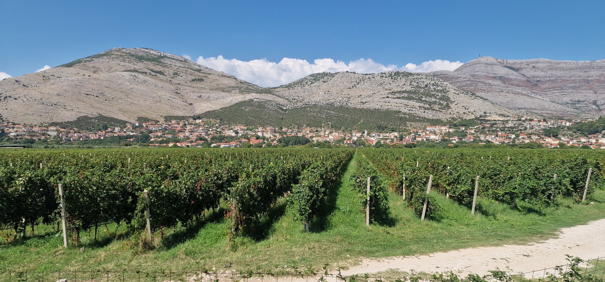 Wine region