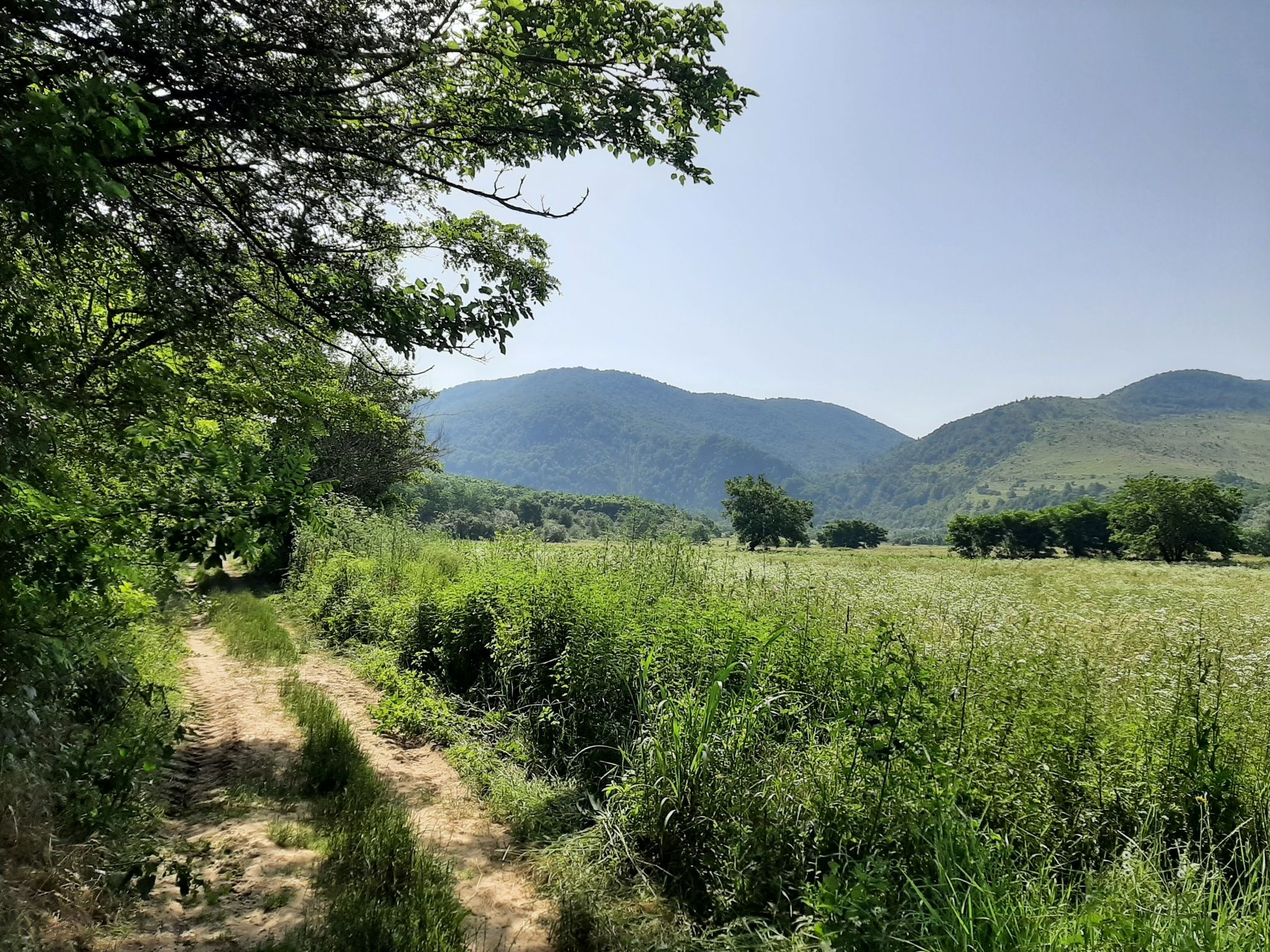 Trail mit Aussicht auf Berge