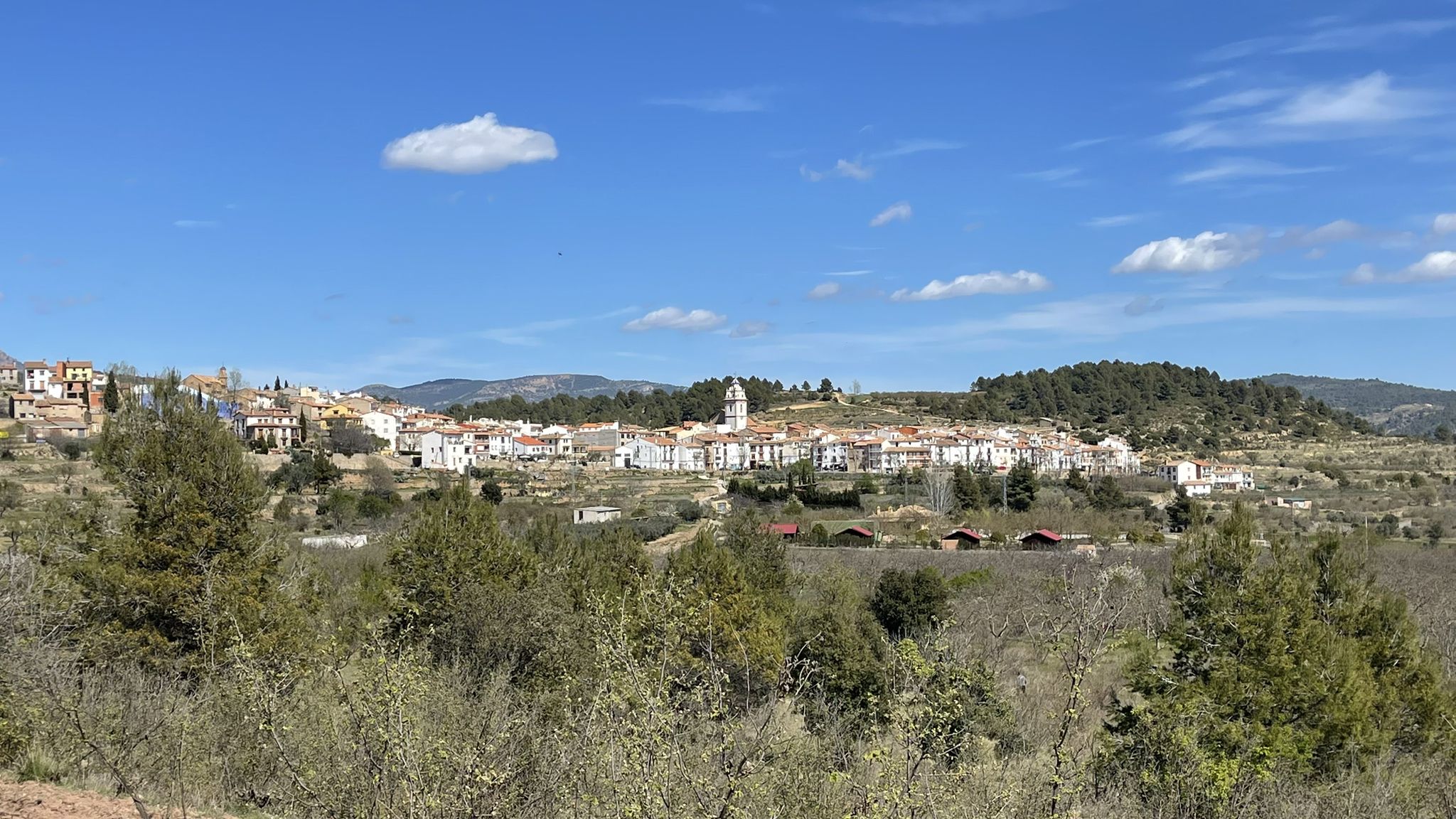 Zucaina