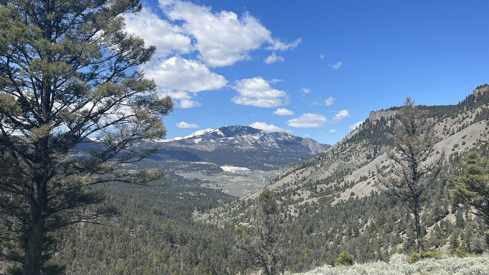 Sunny mountain landscape with snow-capped peaks, green valley, and forested slopes. - Upper and Lower Undine Falls via Lave Creek Trail