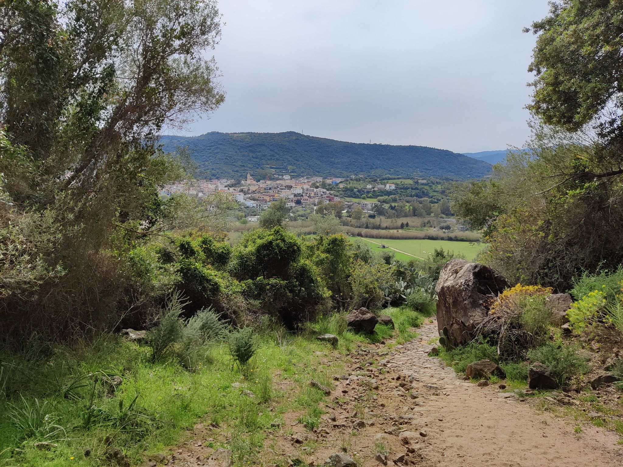 Blick zurück auf Bari Sado