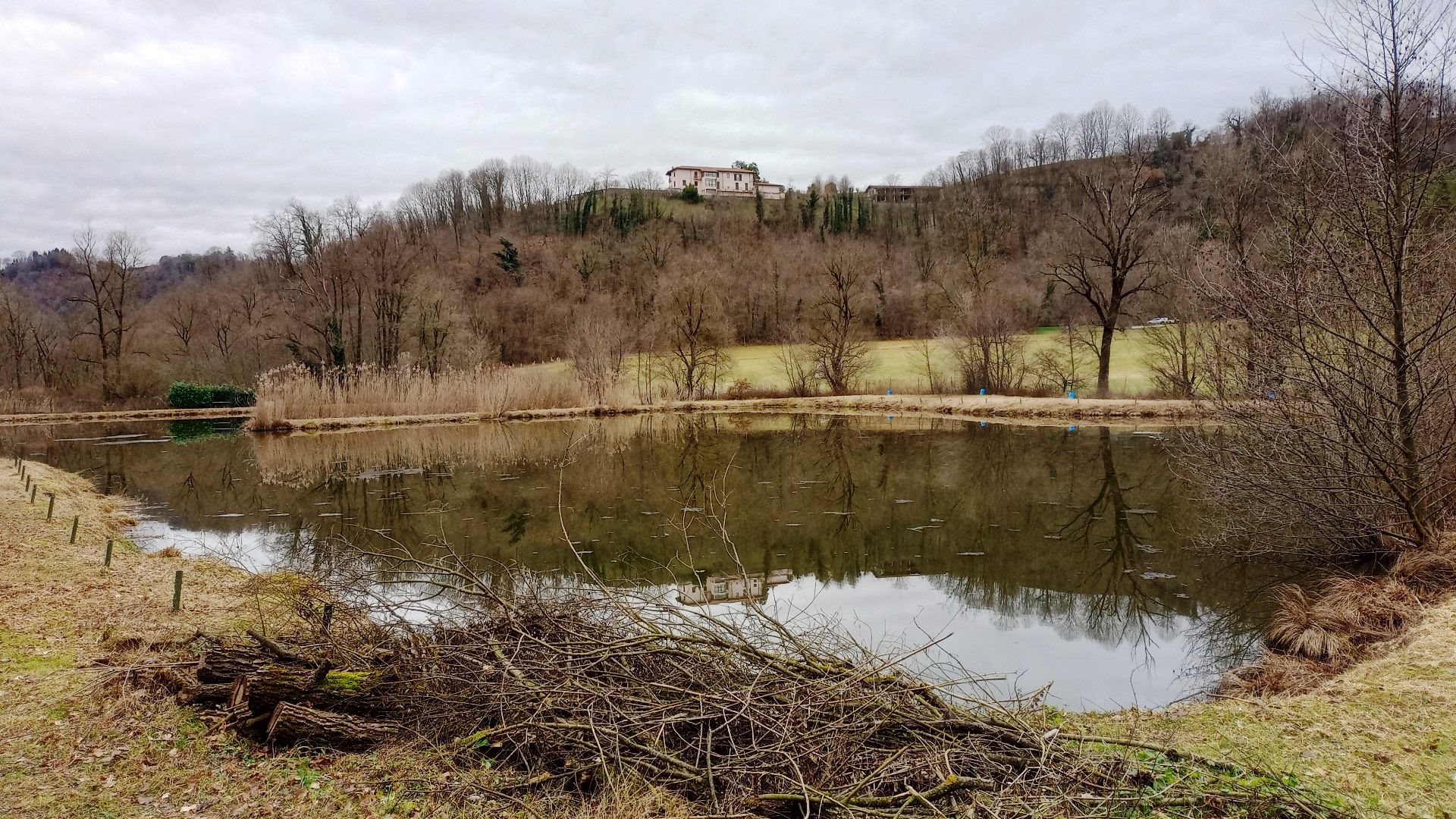 Il Laghetto delle Betulle