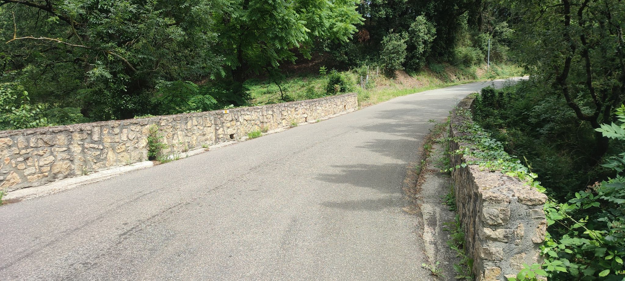 Anstieg D103 nach Saissac, Hügellandschaft Lauragais
