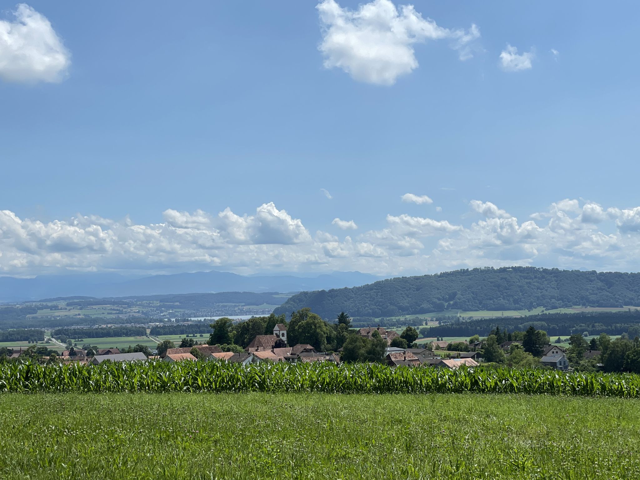 Sicht Mont Vully mit Murtensee