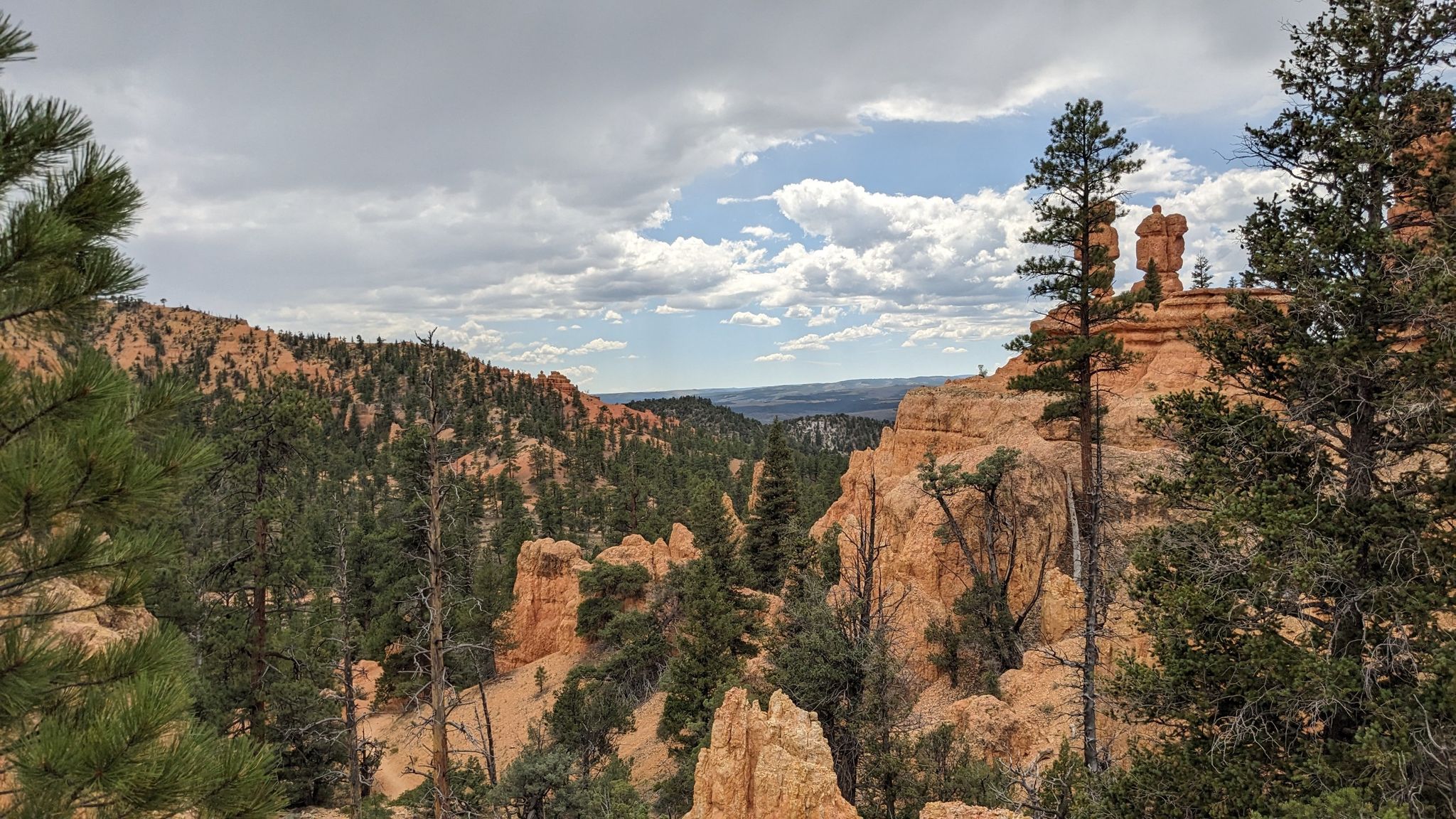Panoramic view of red rock formations, pine forests, and distant hills under clouds. - Pink Ledges, Birdseye and Photo Trail Loop