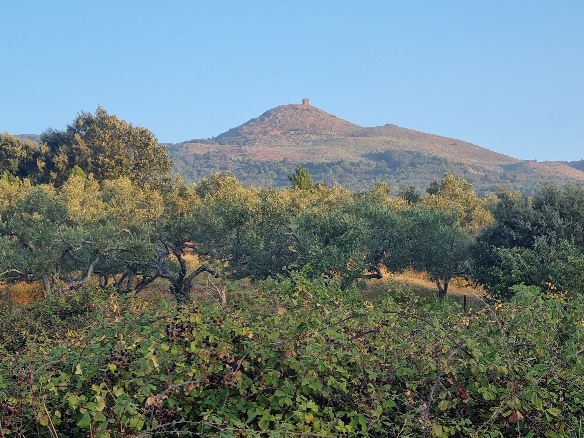 Almenara de Gata