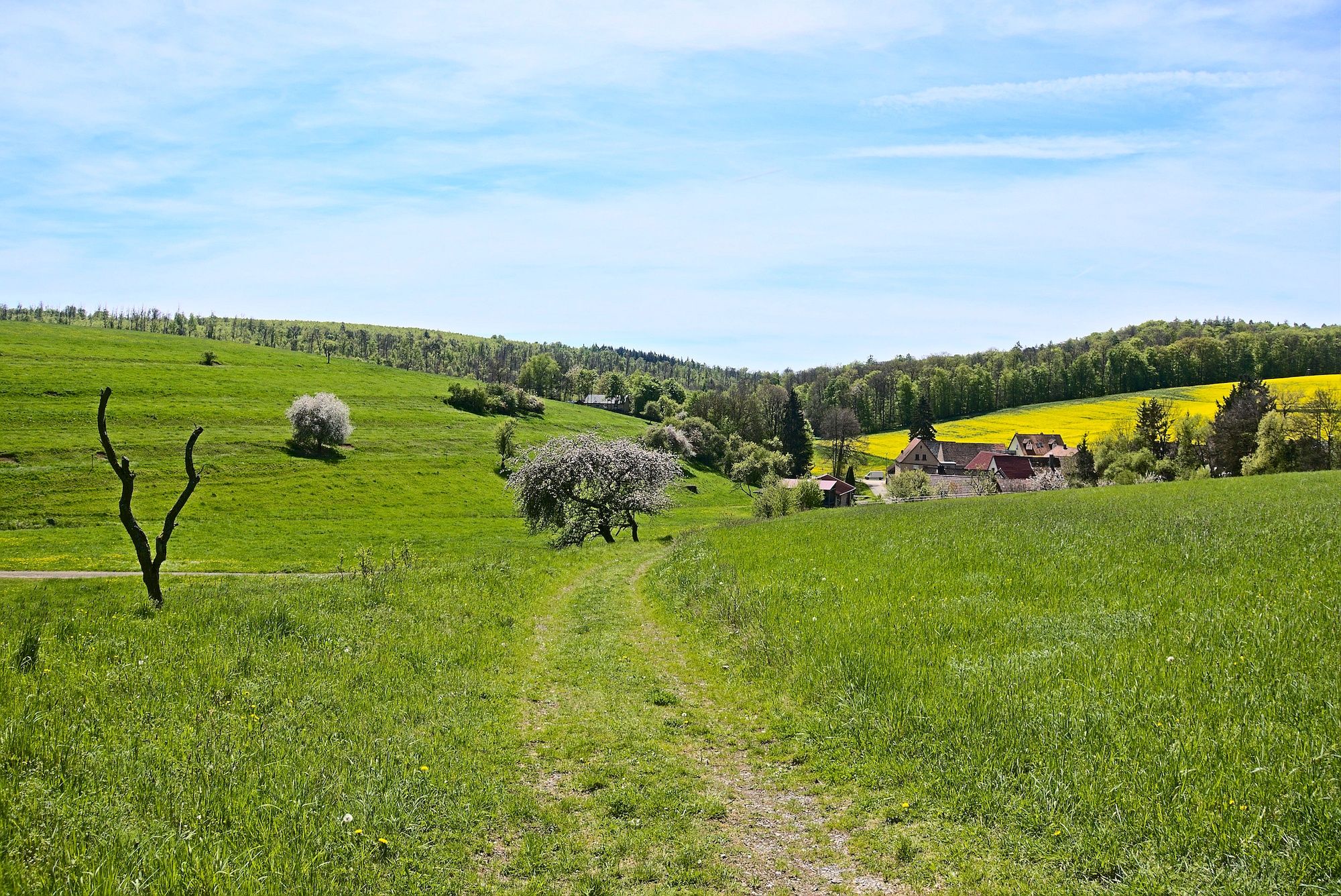 Herrliches Panorama bei der Abfahrt nach Ottenhausen