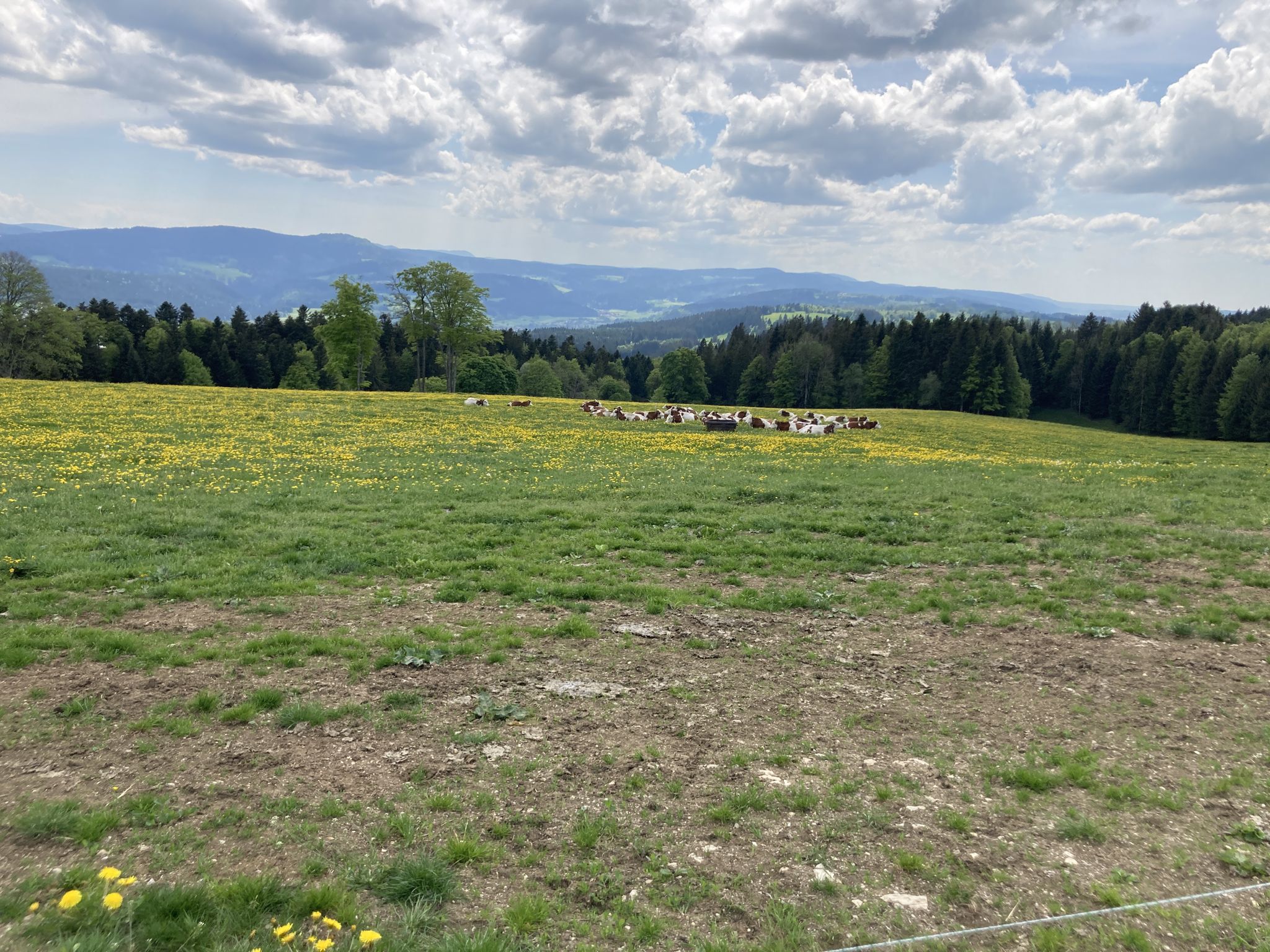 Vue depuis le Mont Vouillot