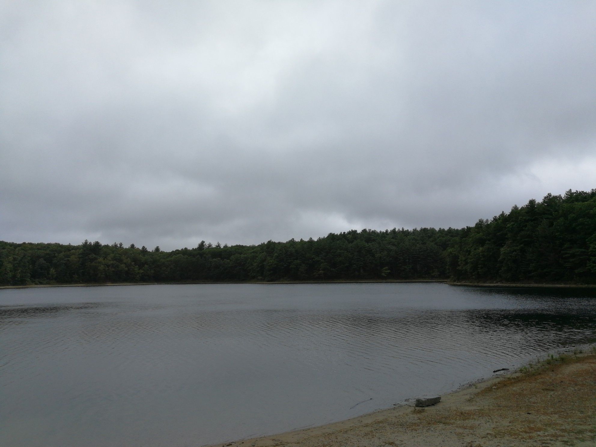 Serene lake surrounded by dark green trees under a cloudy, overcast sky. - Walden Pond & Wright Woods Loop – Walden Pond State Reservation